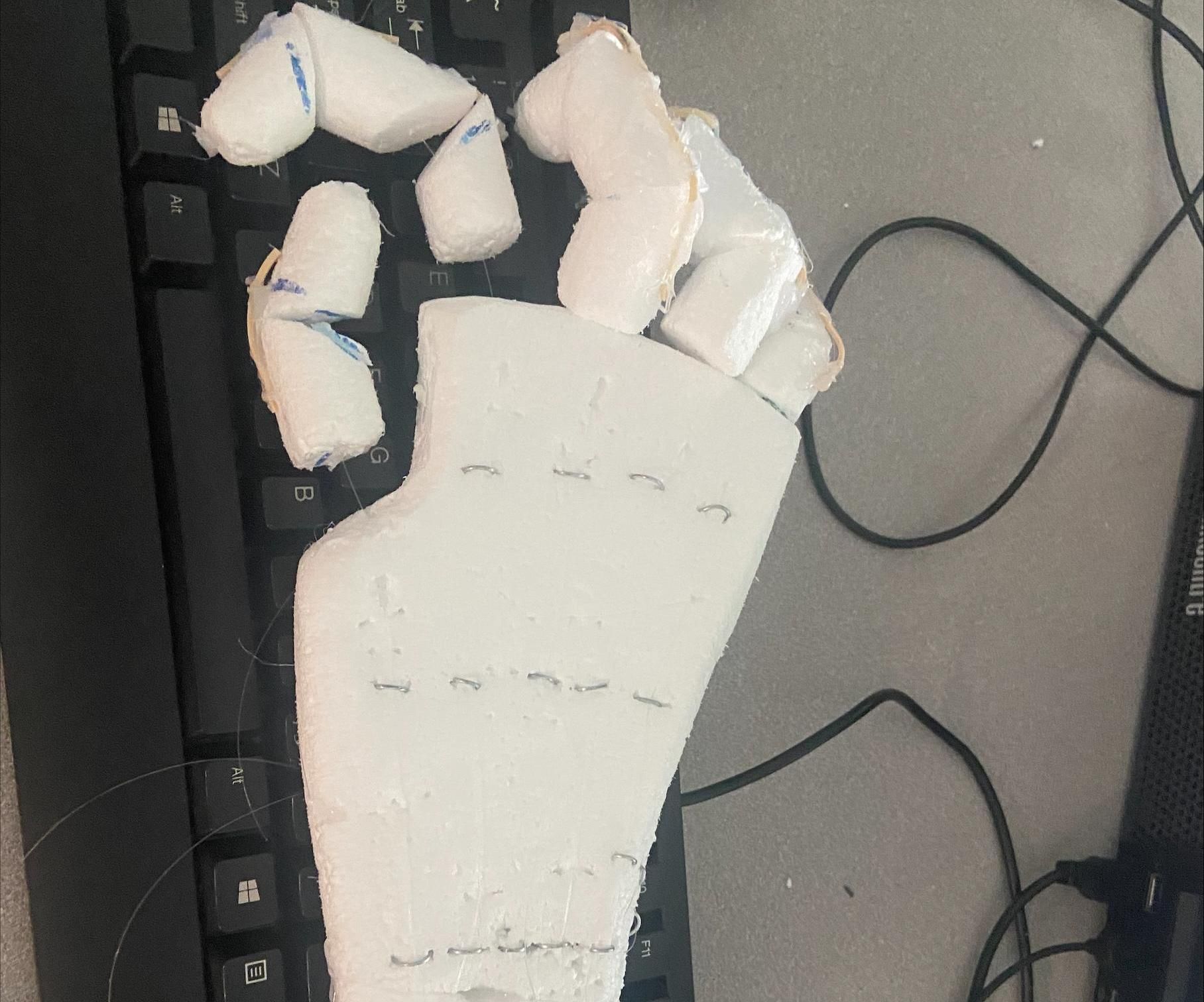 How to Make a Robotic Hand
