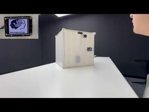 AI Binocular 3D Vision Recognition Sensor (Face/Palm Vein) – Storage Box Application Project