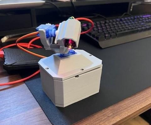 Automatic Cat Laser