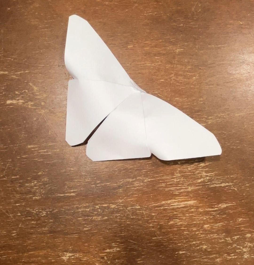 Beginner Origami Butterfly