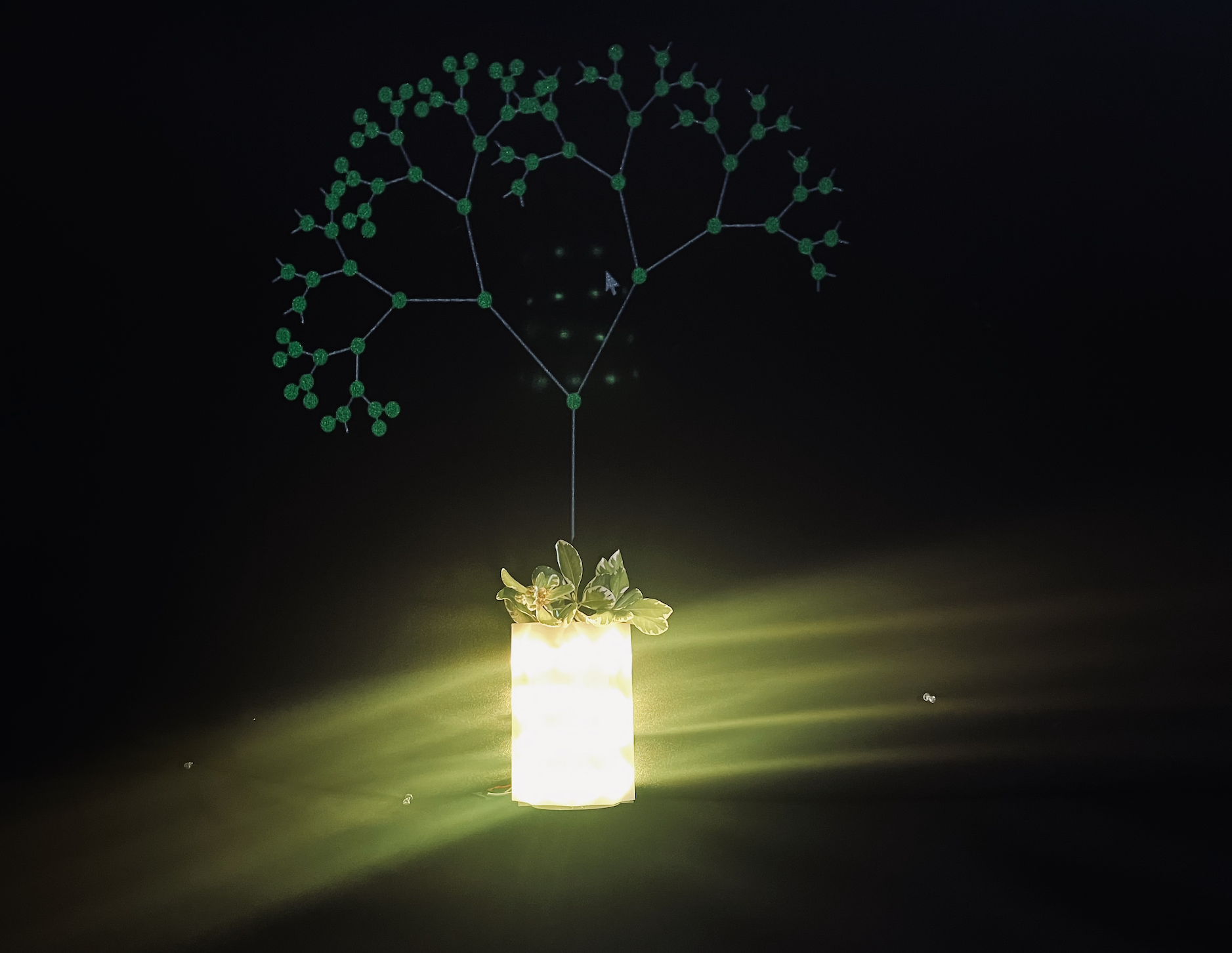 FloraVox: Smart Vase Arduino & Creative Coding