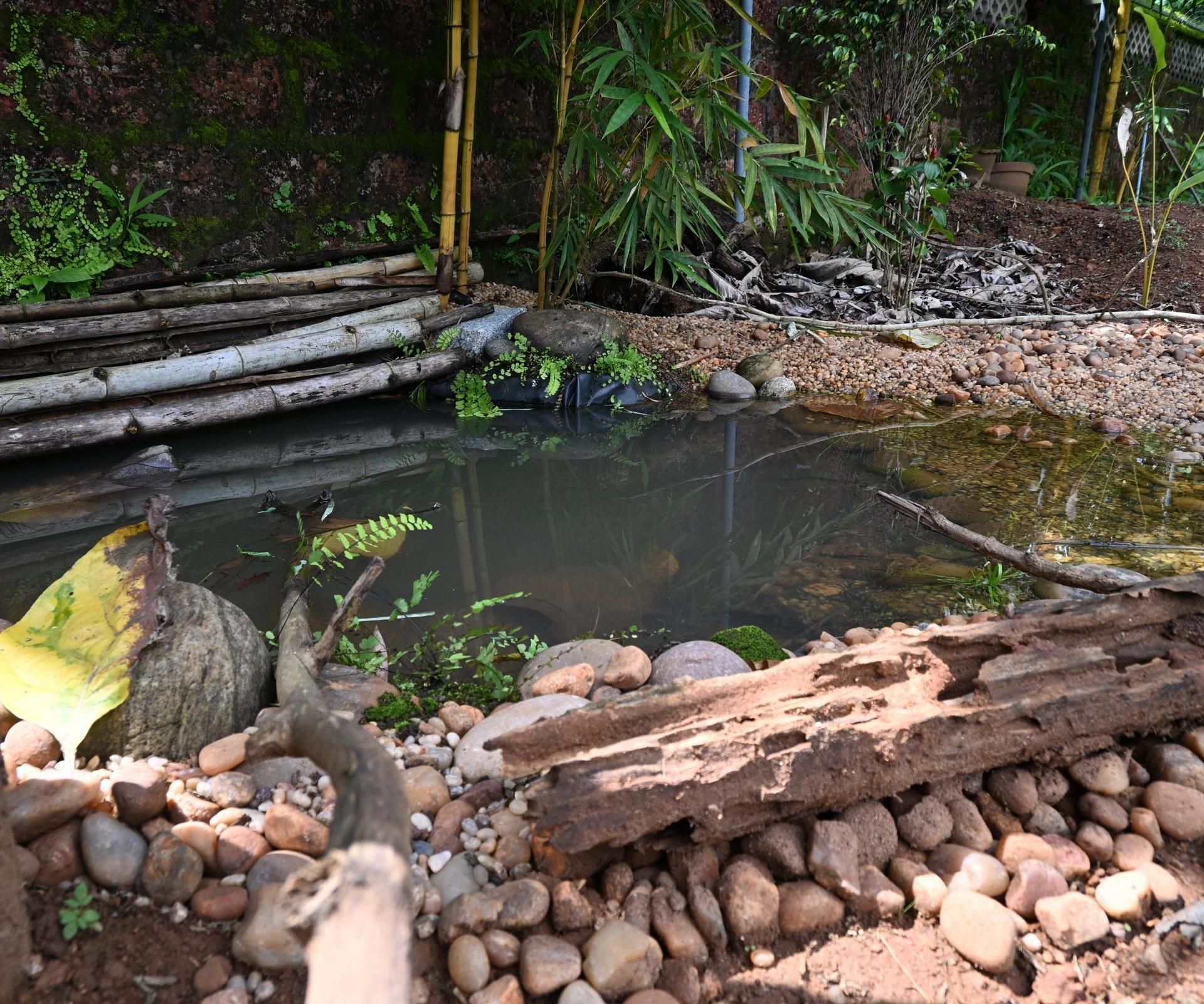 How to Build a Wildlife Pond