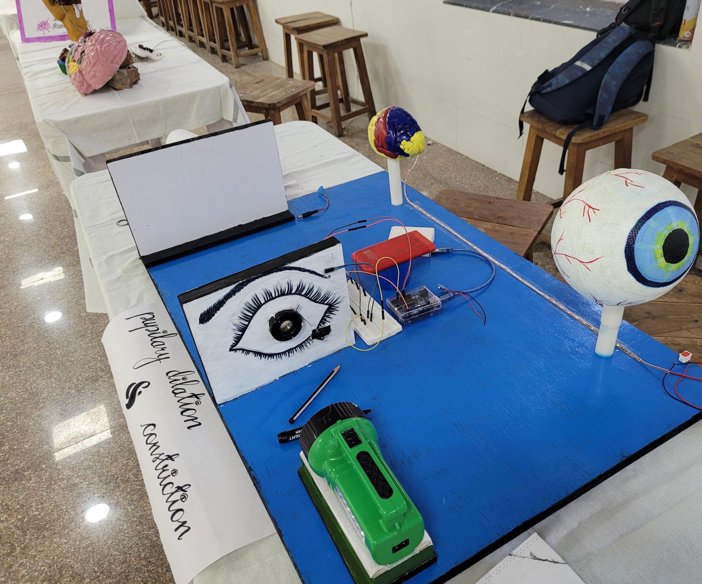 Making a Working Model of Pupillary Light Reflex Using Arduino UNO