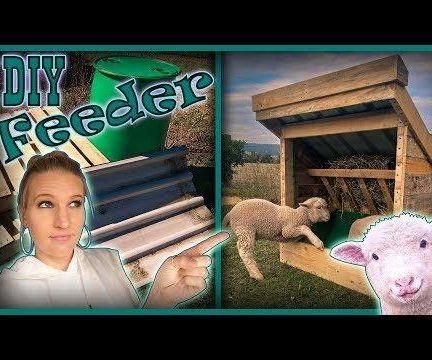 Livestock Feeder