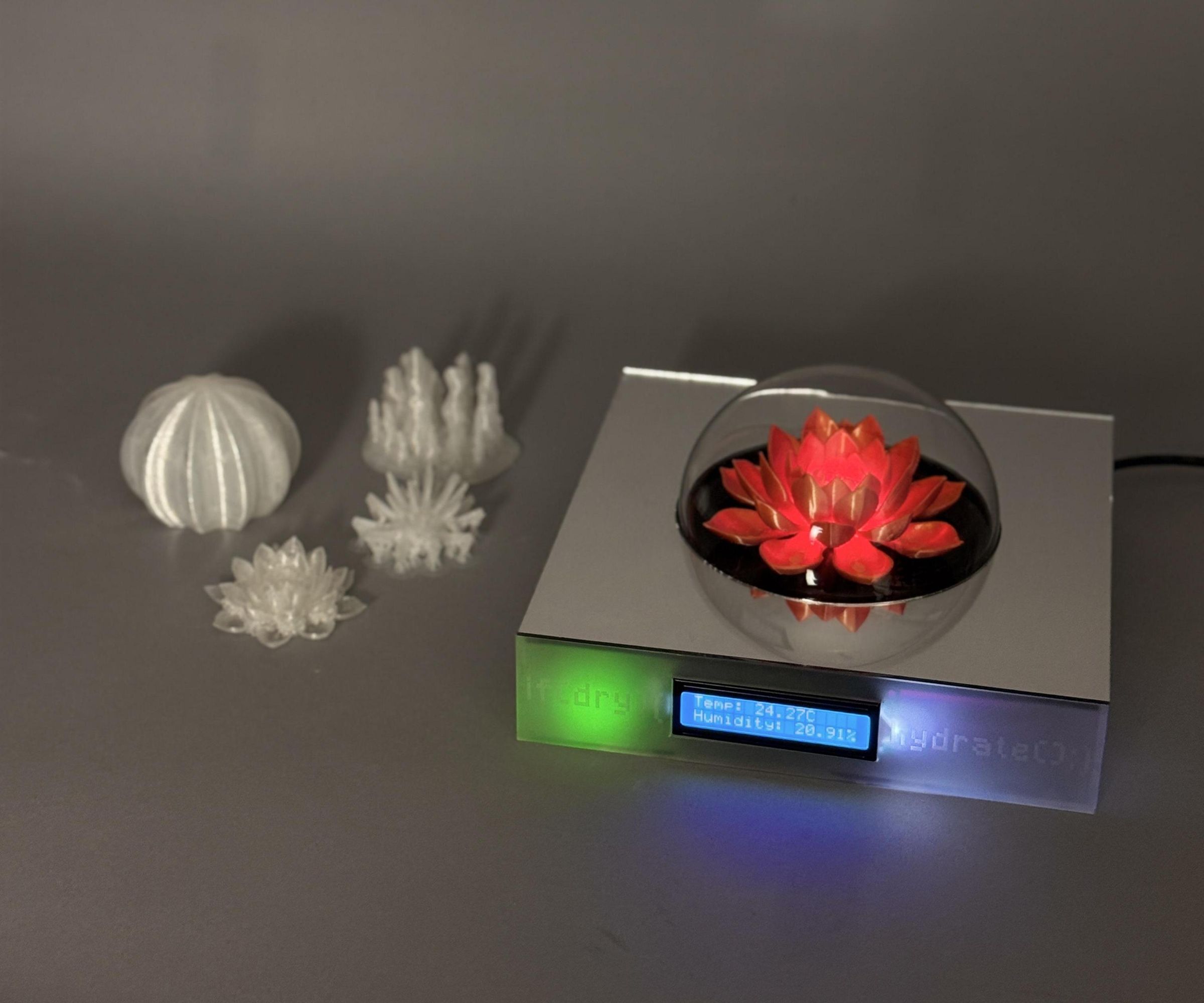 Still a Flower (temperature and Humidity Sensor With Lights Signal)