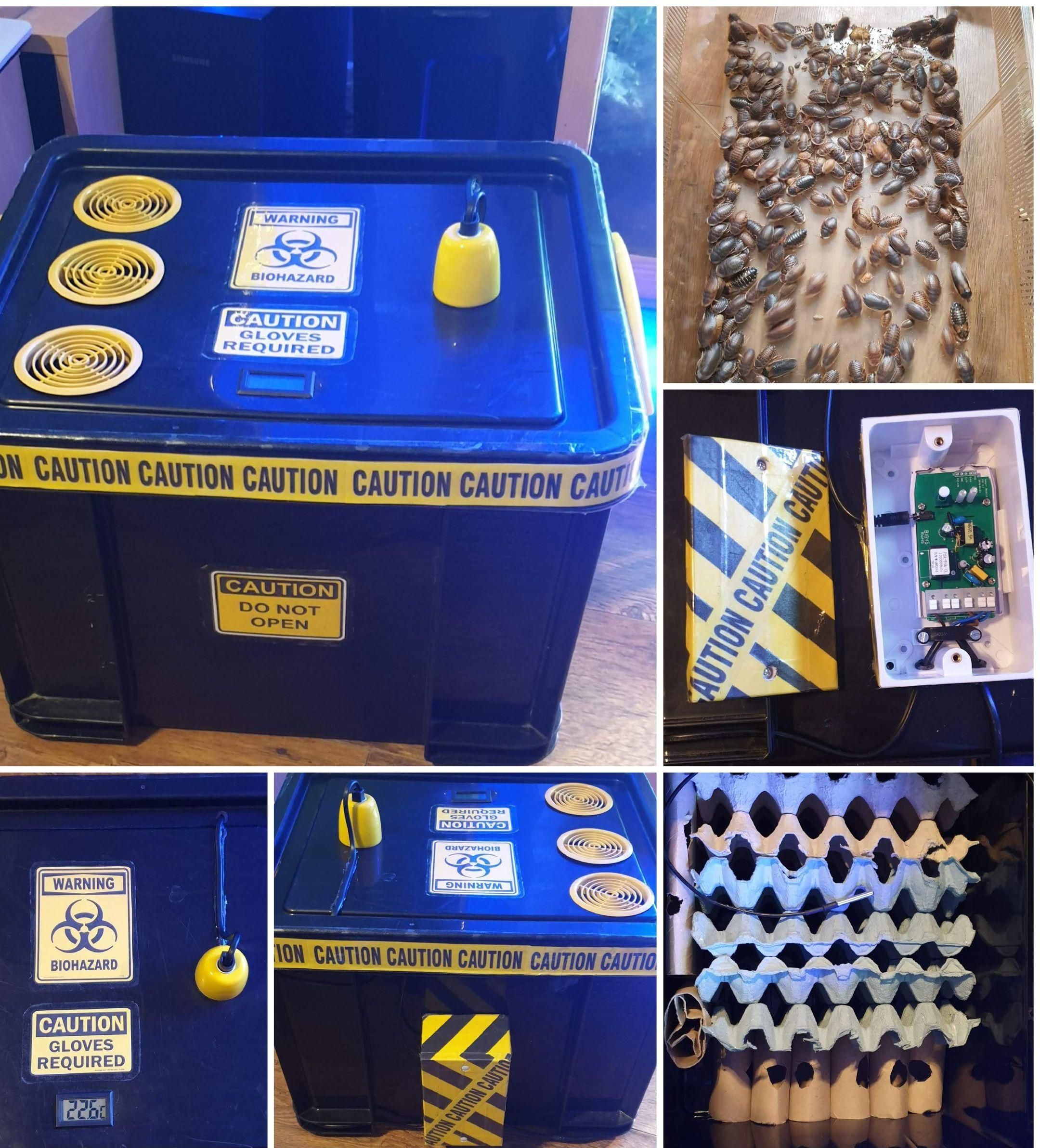 WiFi‑Controlled Dubia Roach Breeding Box (Smart Heated Colony Build)
