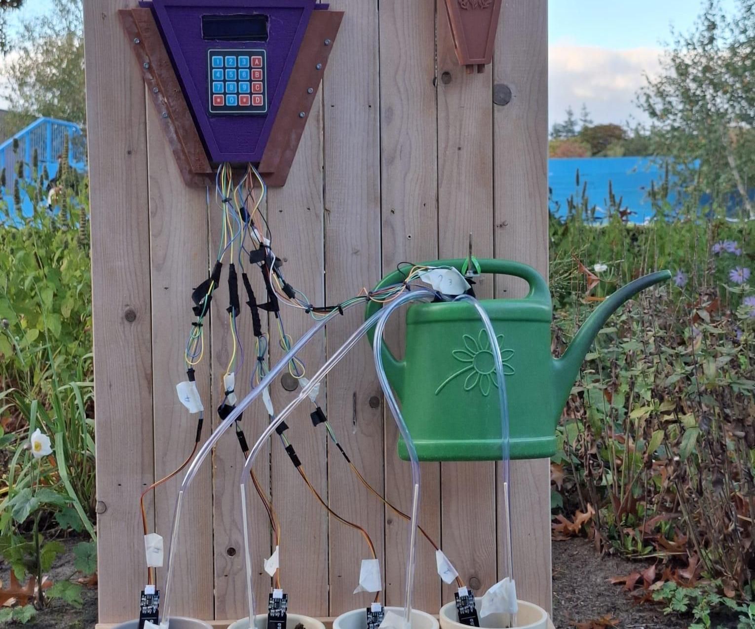 How to Make a Plant Watering System