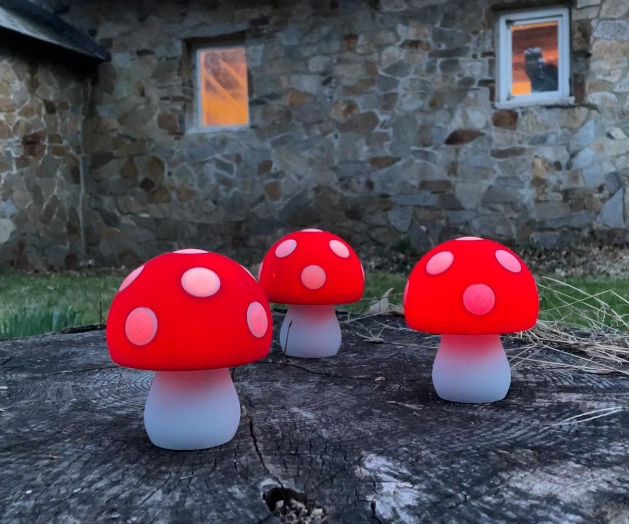 LED Mushrooms