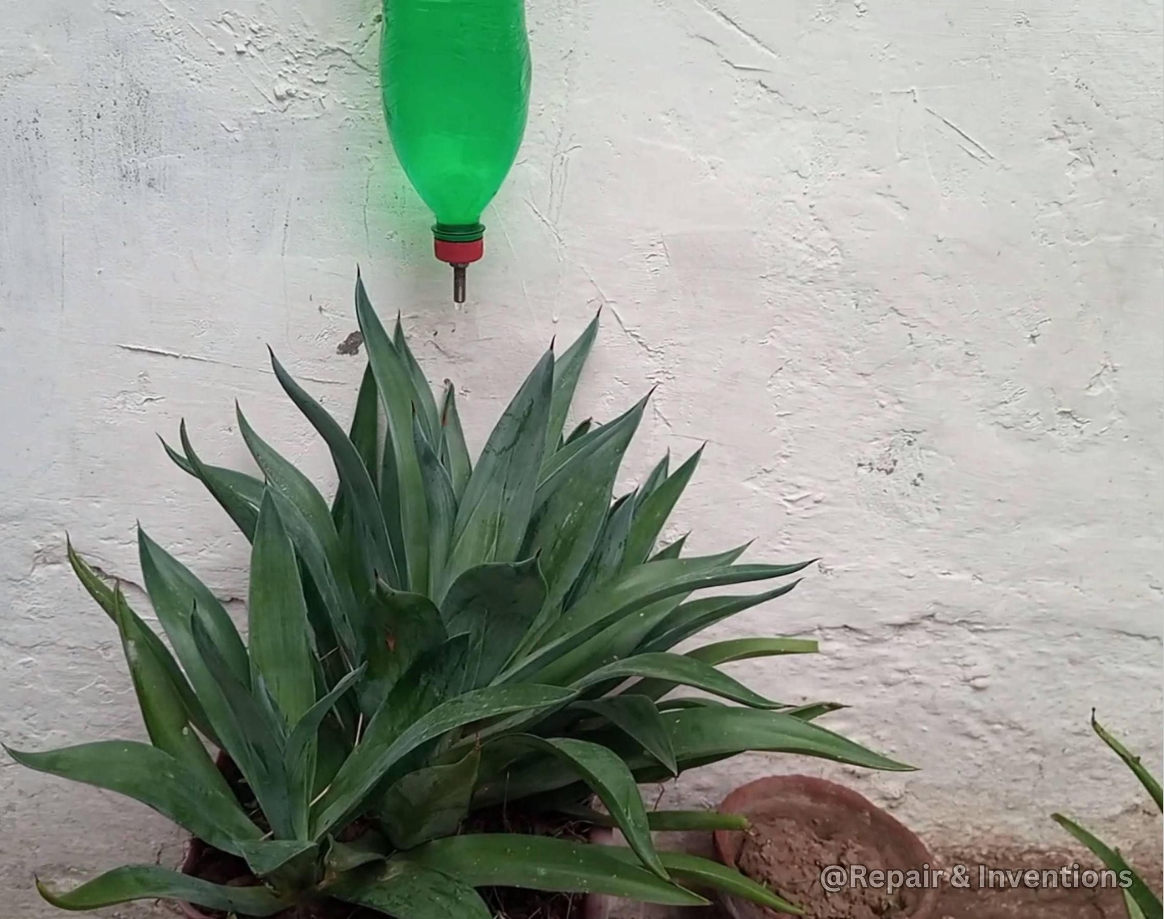 Make a DIY Drip Irrigation System at Home – Save Water & Grow Better Plants