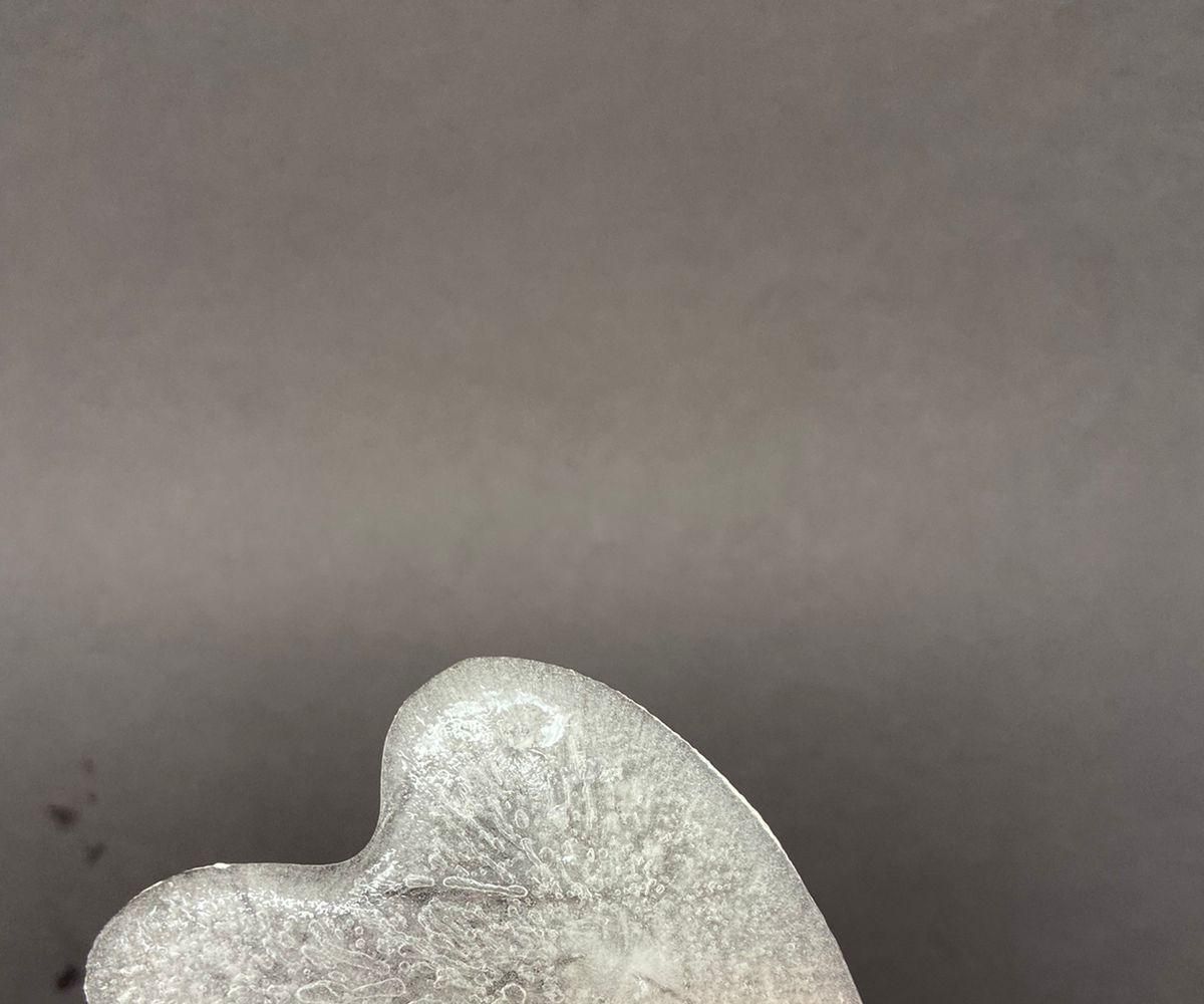 Gua Sha Ice Mold 