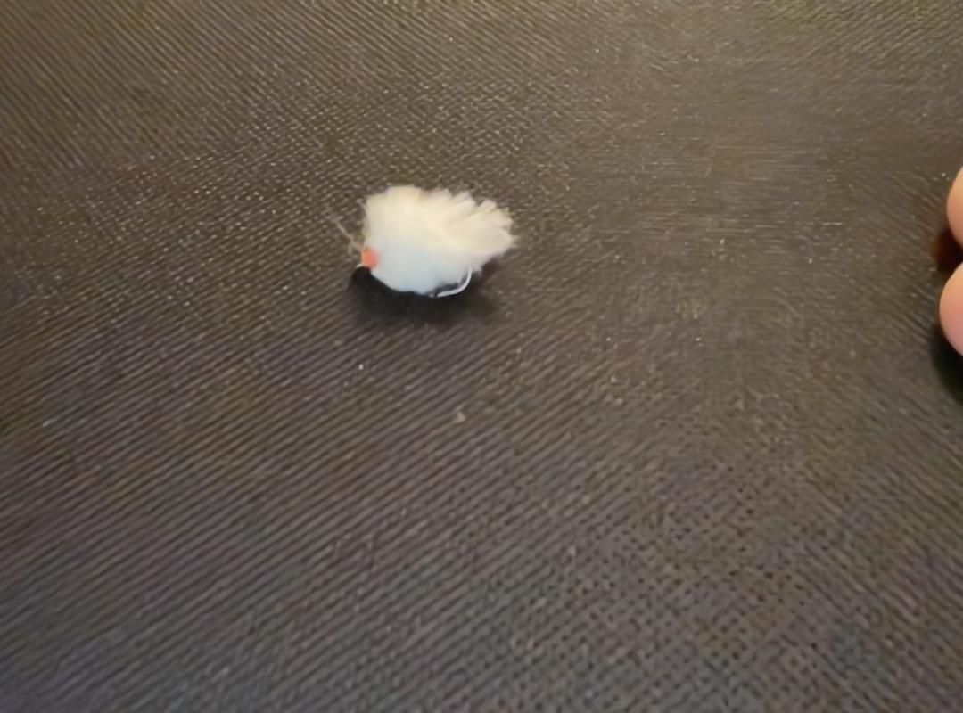 Eggstacy Egg Fly