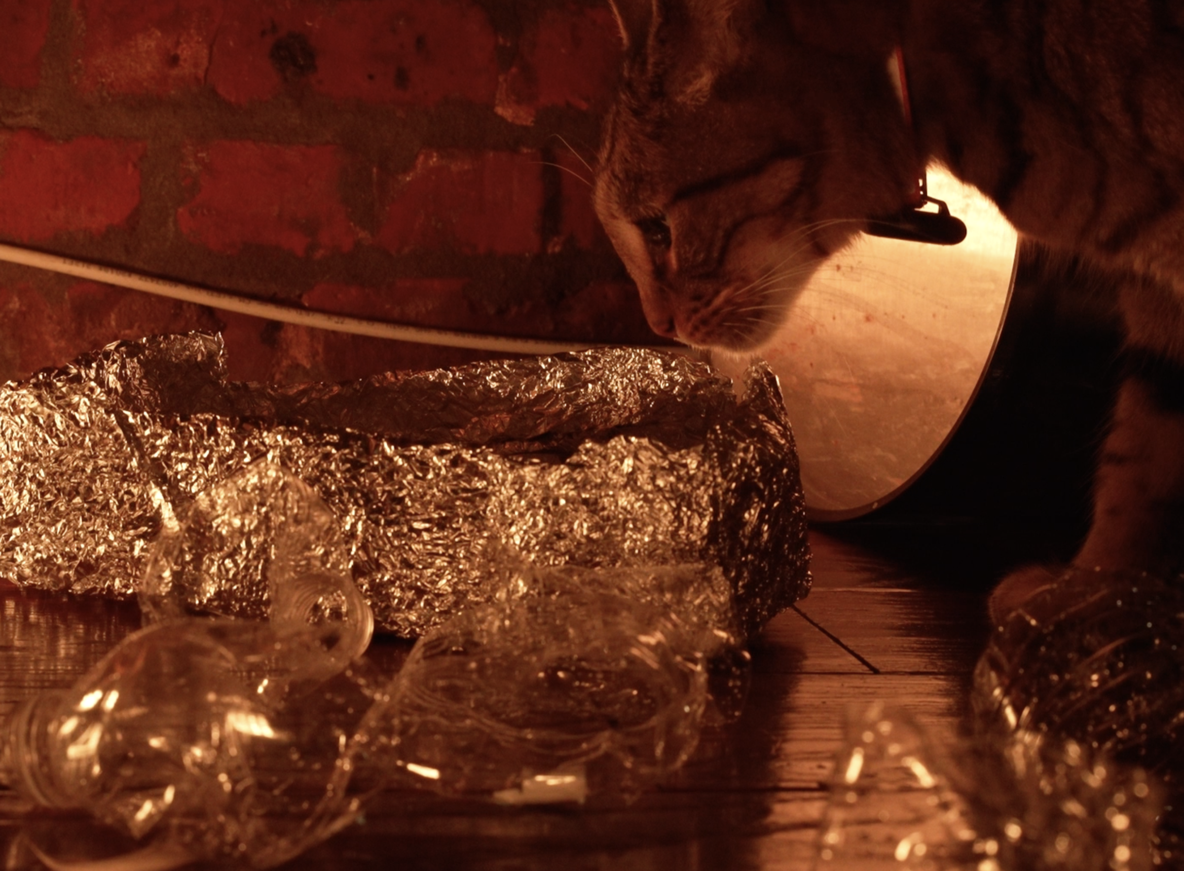 Garbage Light