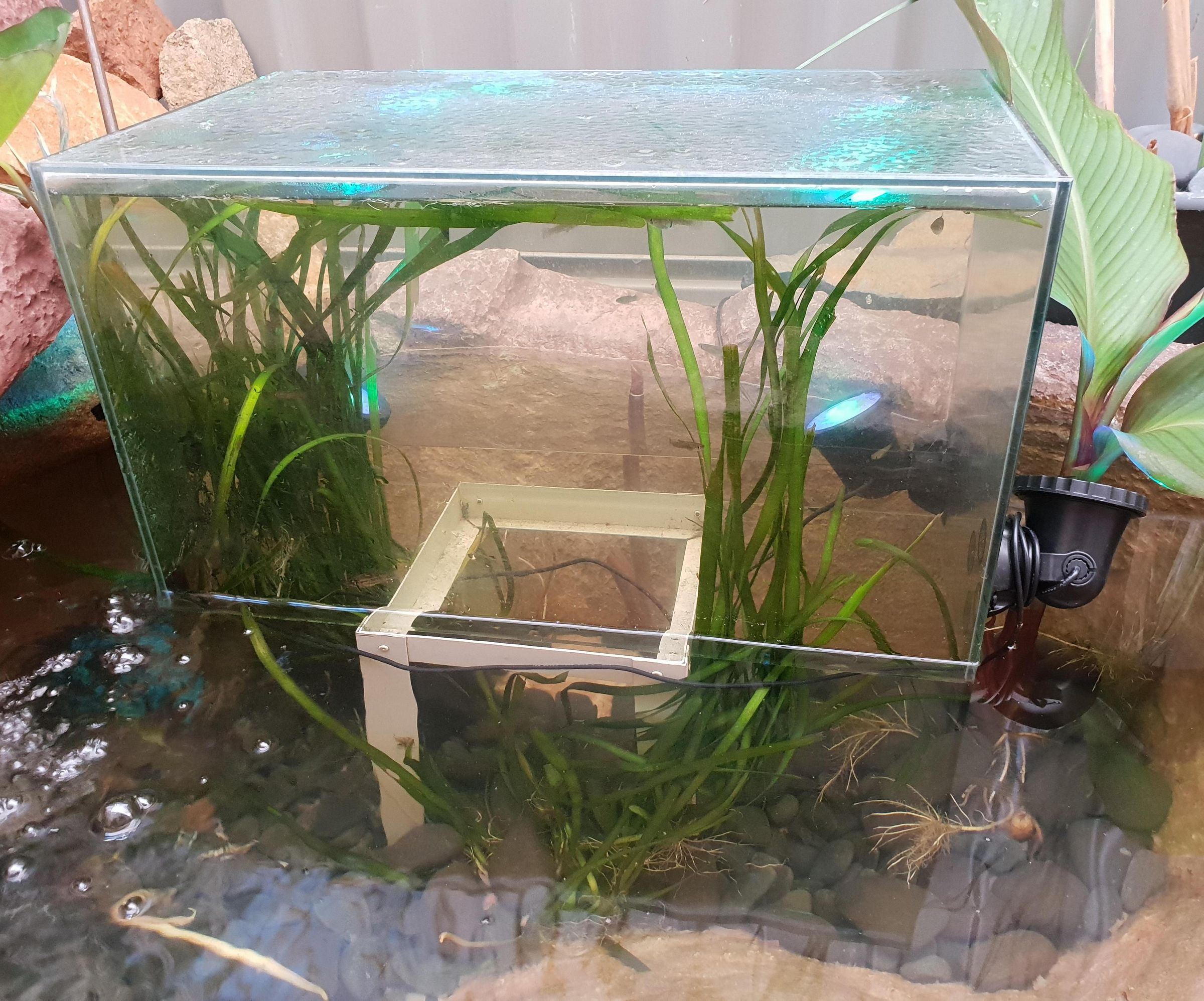 Inverted Fish Tank Tower