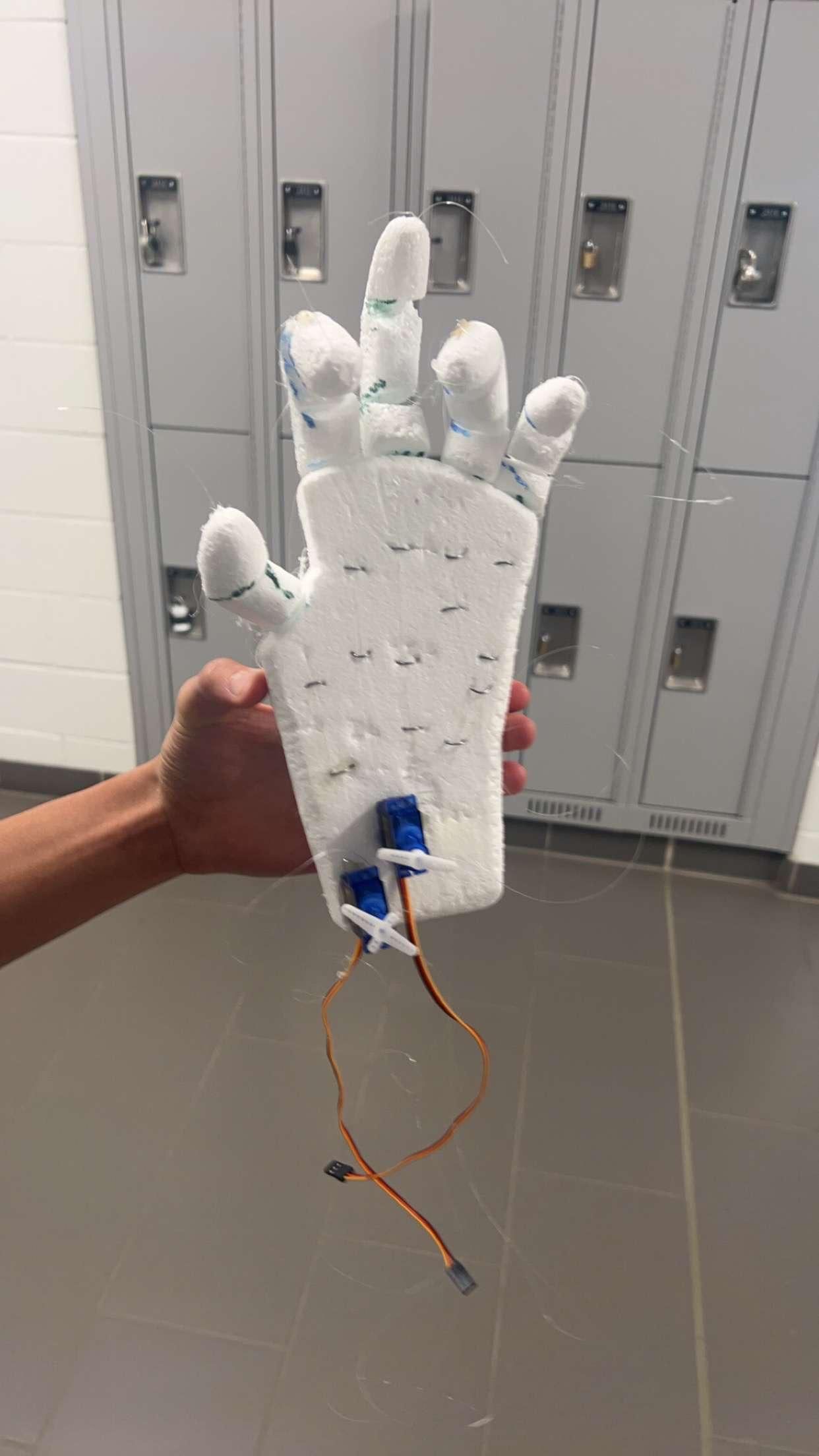 A Robotic Hand