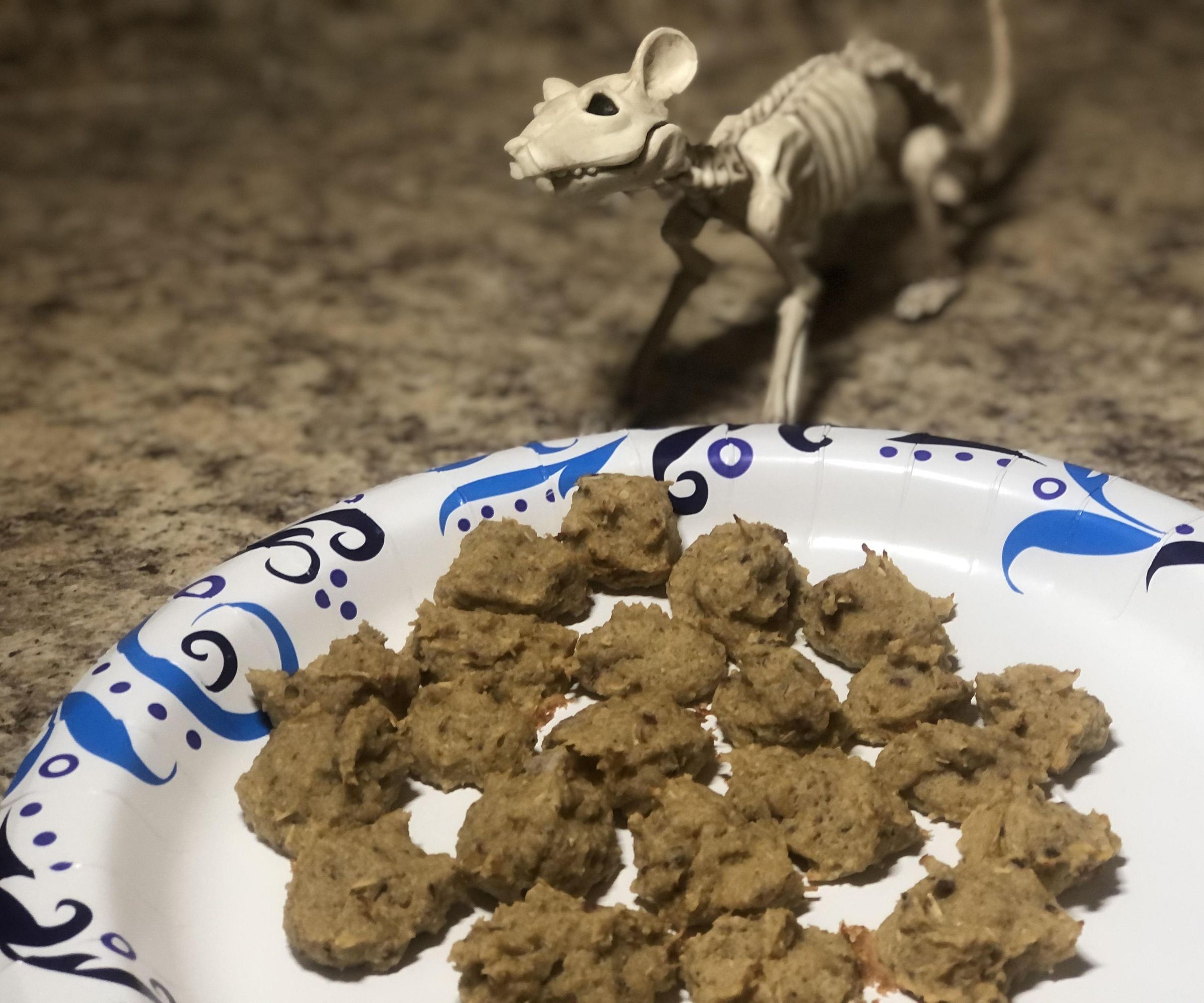 Pumpkin and Cranberry Cat Treats!
