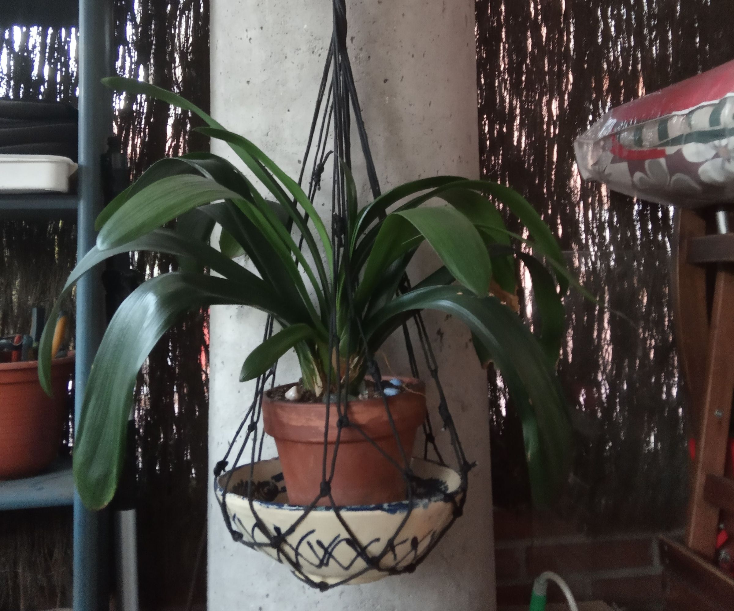 Macetero Colgante Para El Jardín