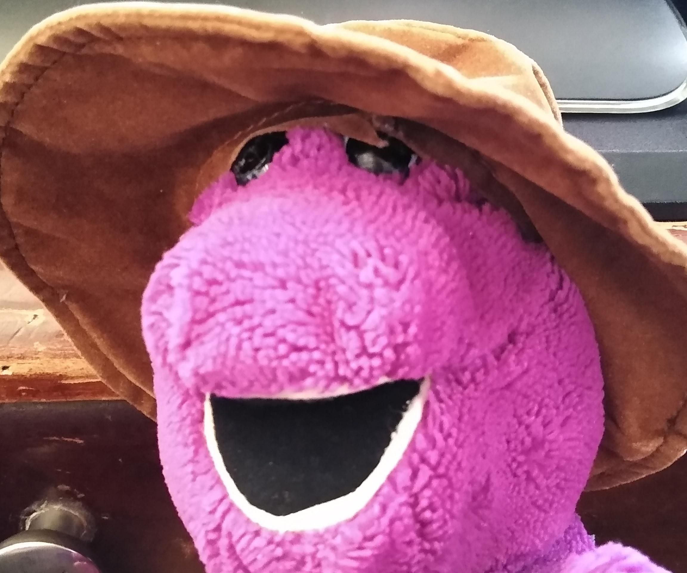 Custom Cow Boy Hat for Plushies