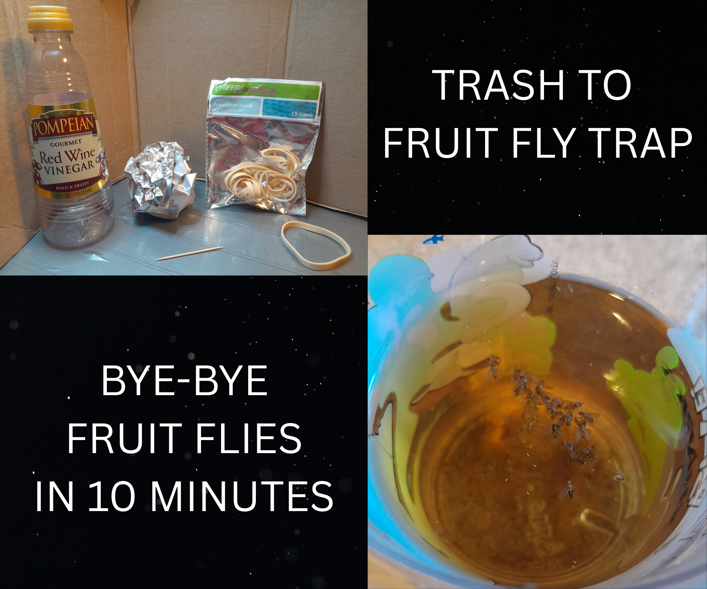 How to Make a Fruit Fly Trap From Trash and Test the Best Bait