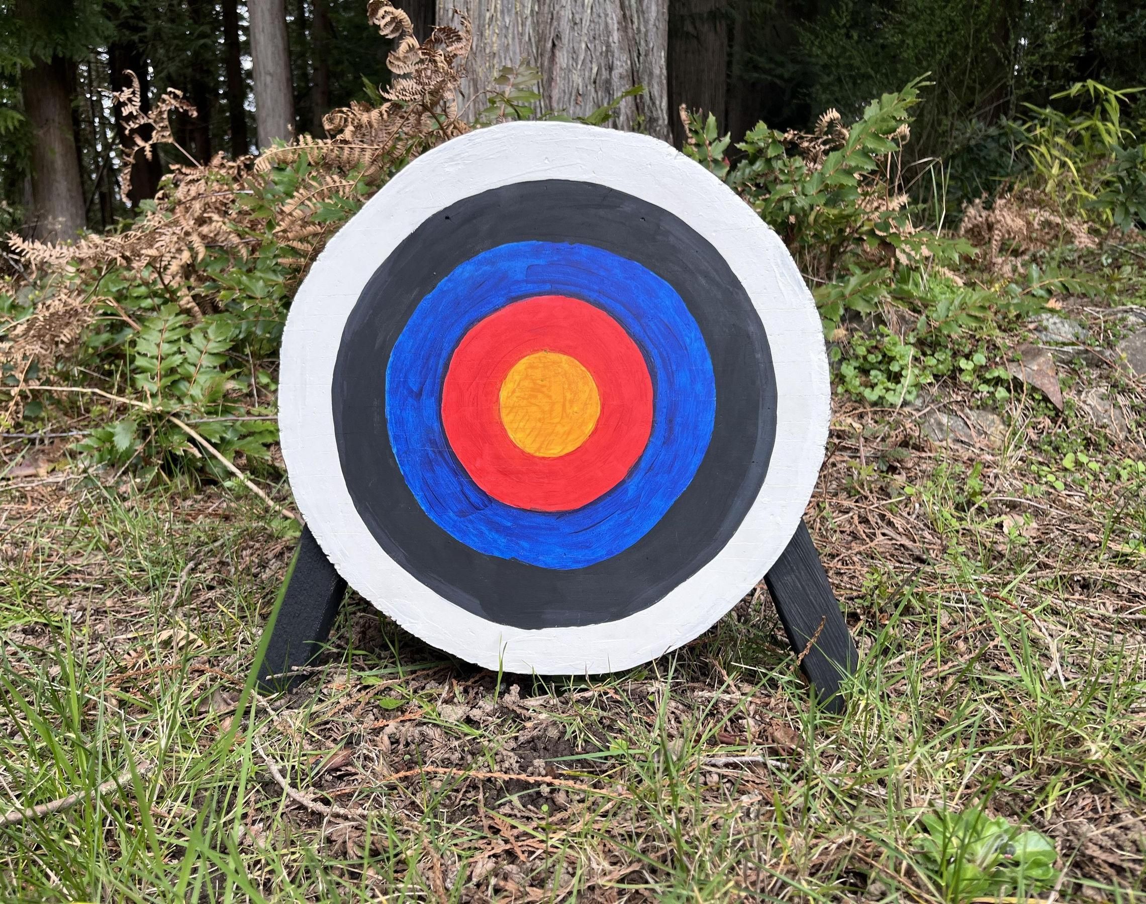 Reusable DIY Pellet Gun Target