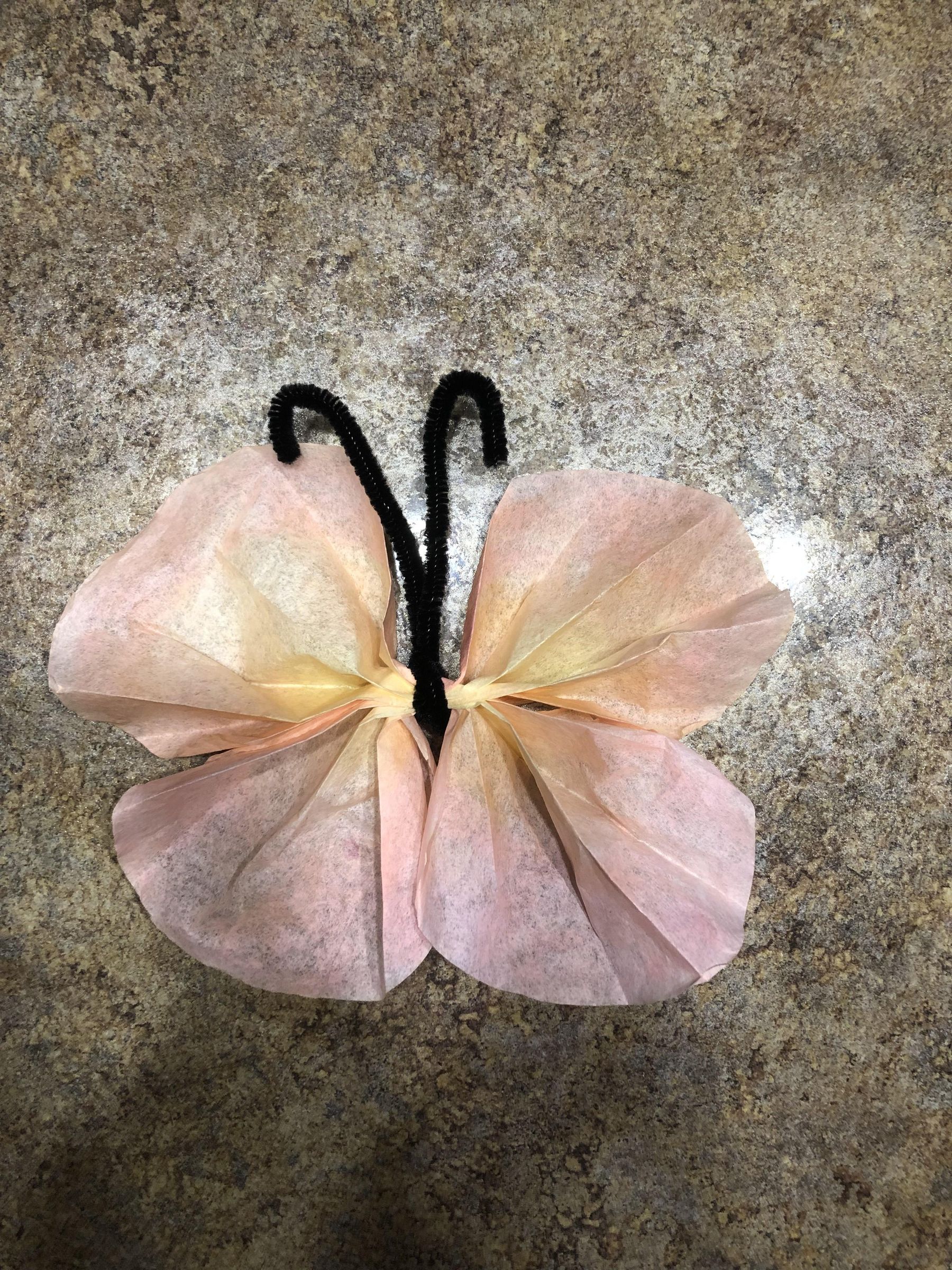 Coffee Filter Butterfly
