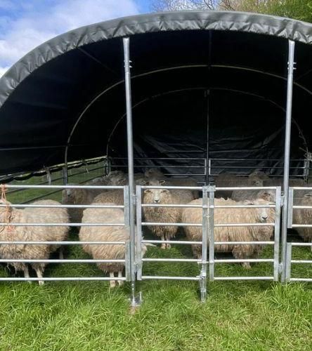 The Ultimate Guide to Choosing the Perfect Cattle Field Shelter for Your Farm