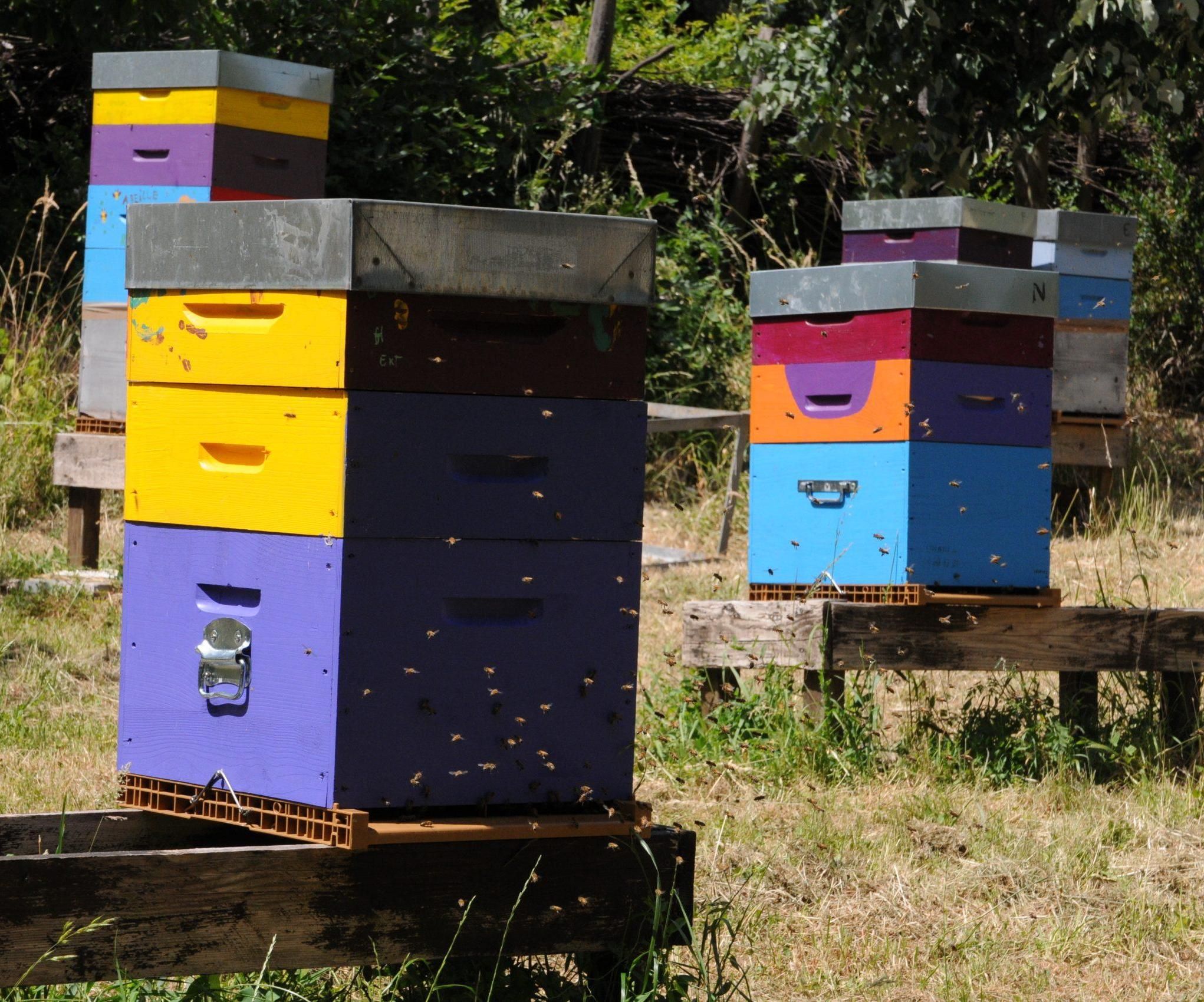 A Connected Hive