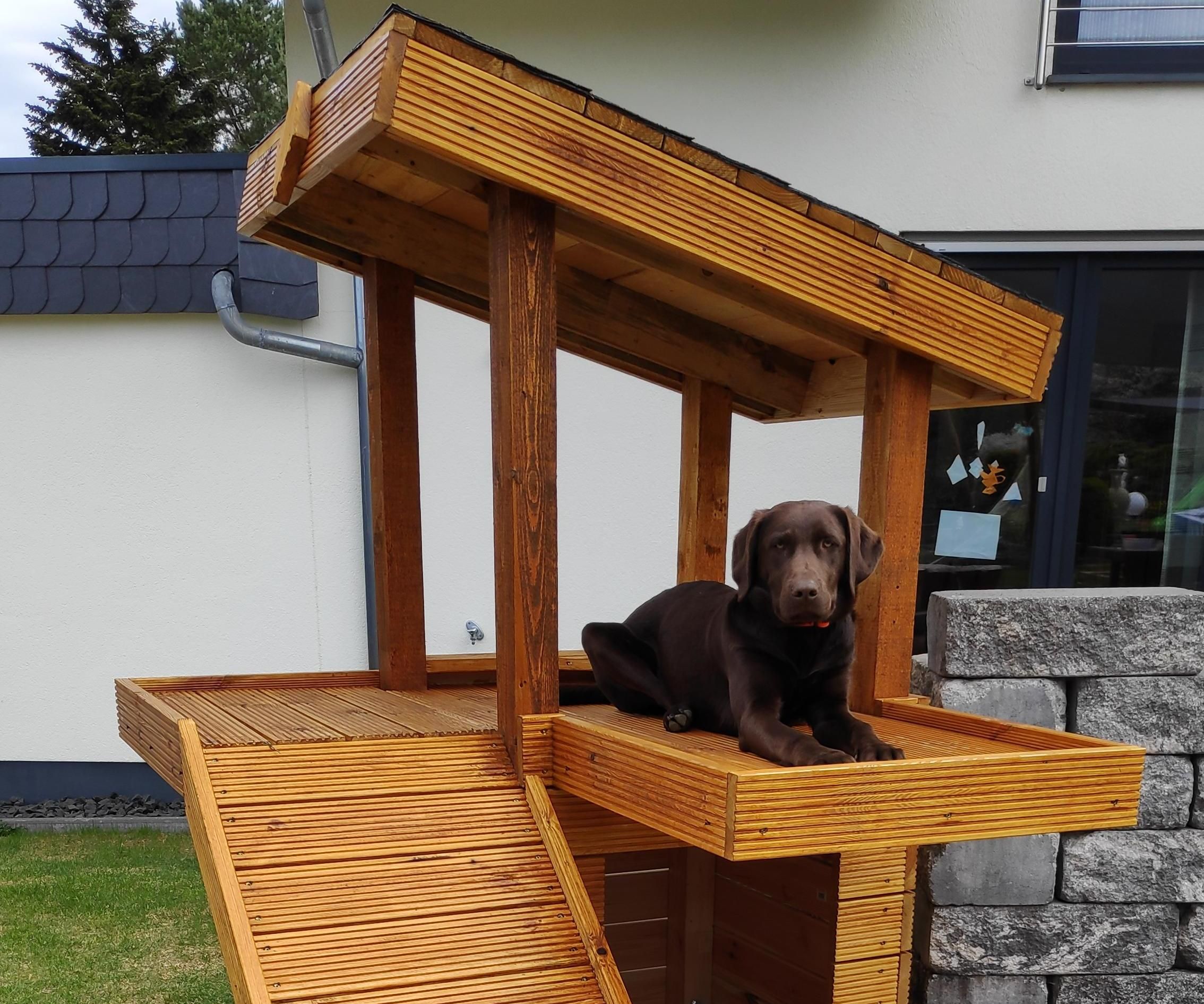 Kennel