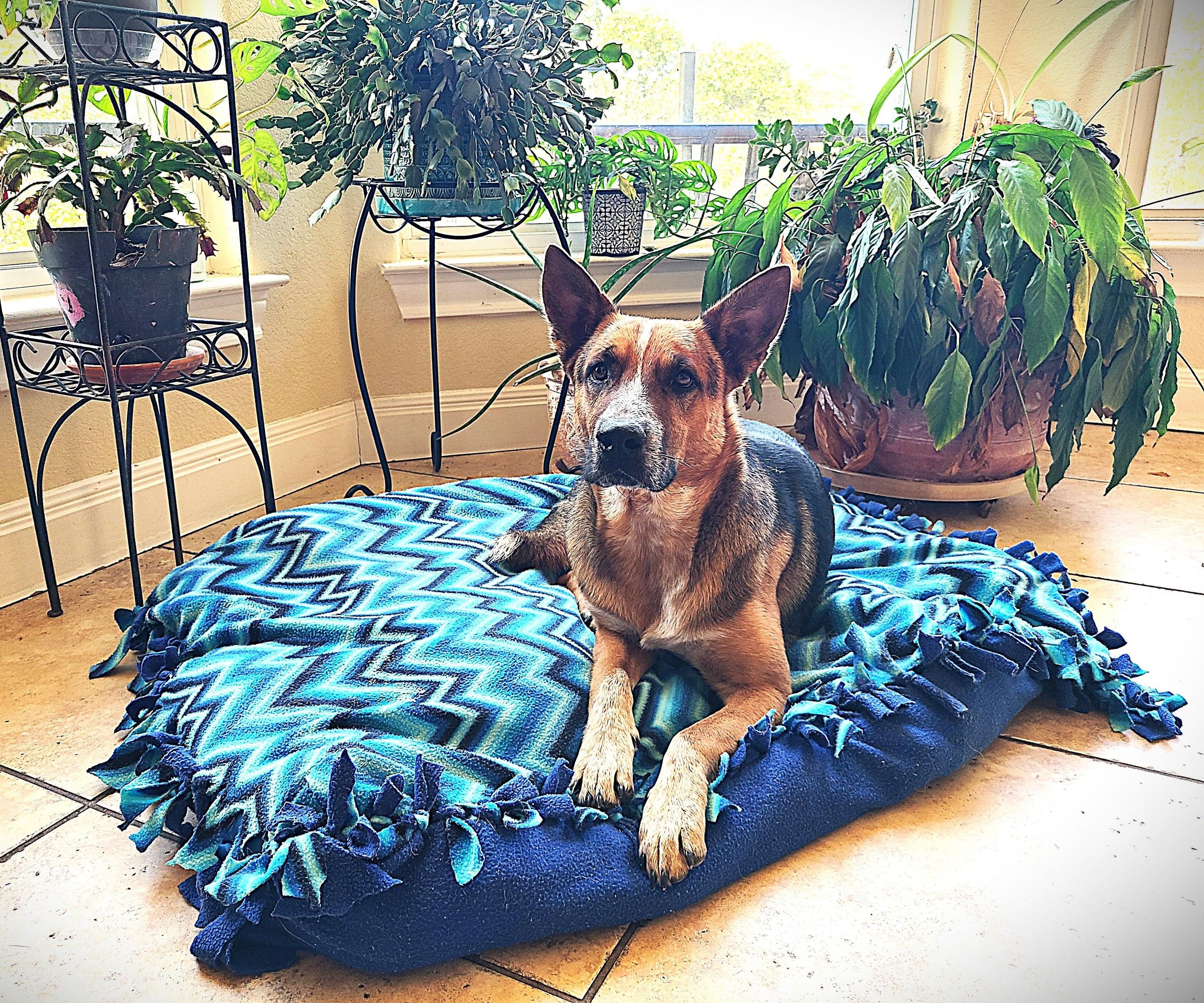 Upcycled Dog Bed