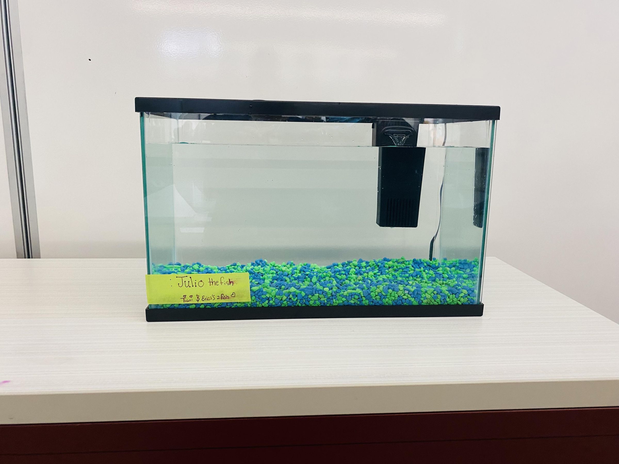 Training a Fish 