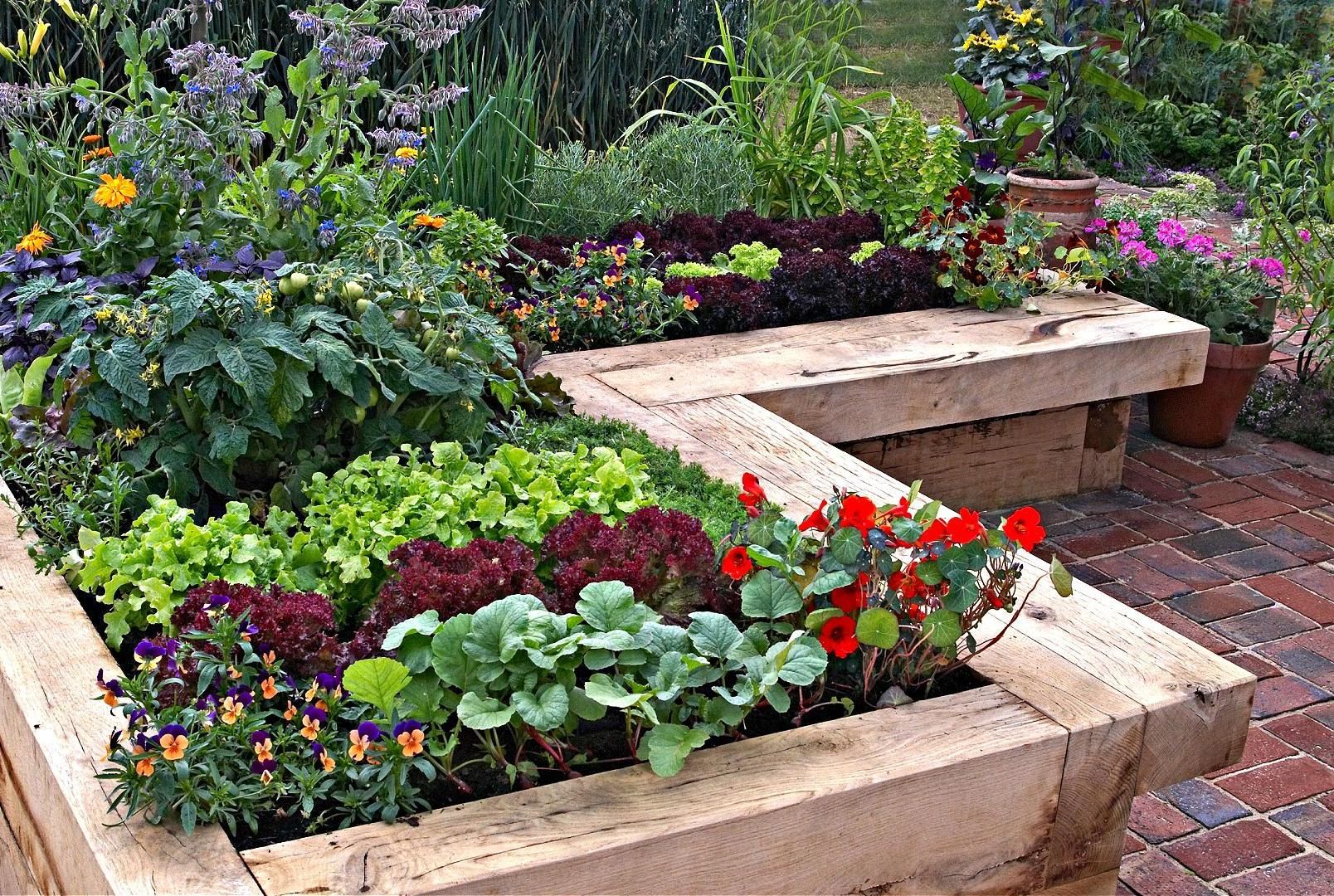 How To Container Gardening
