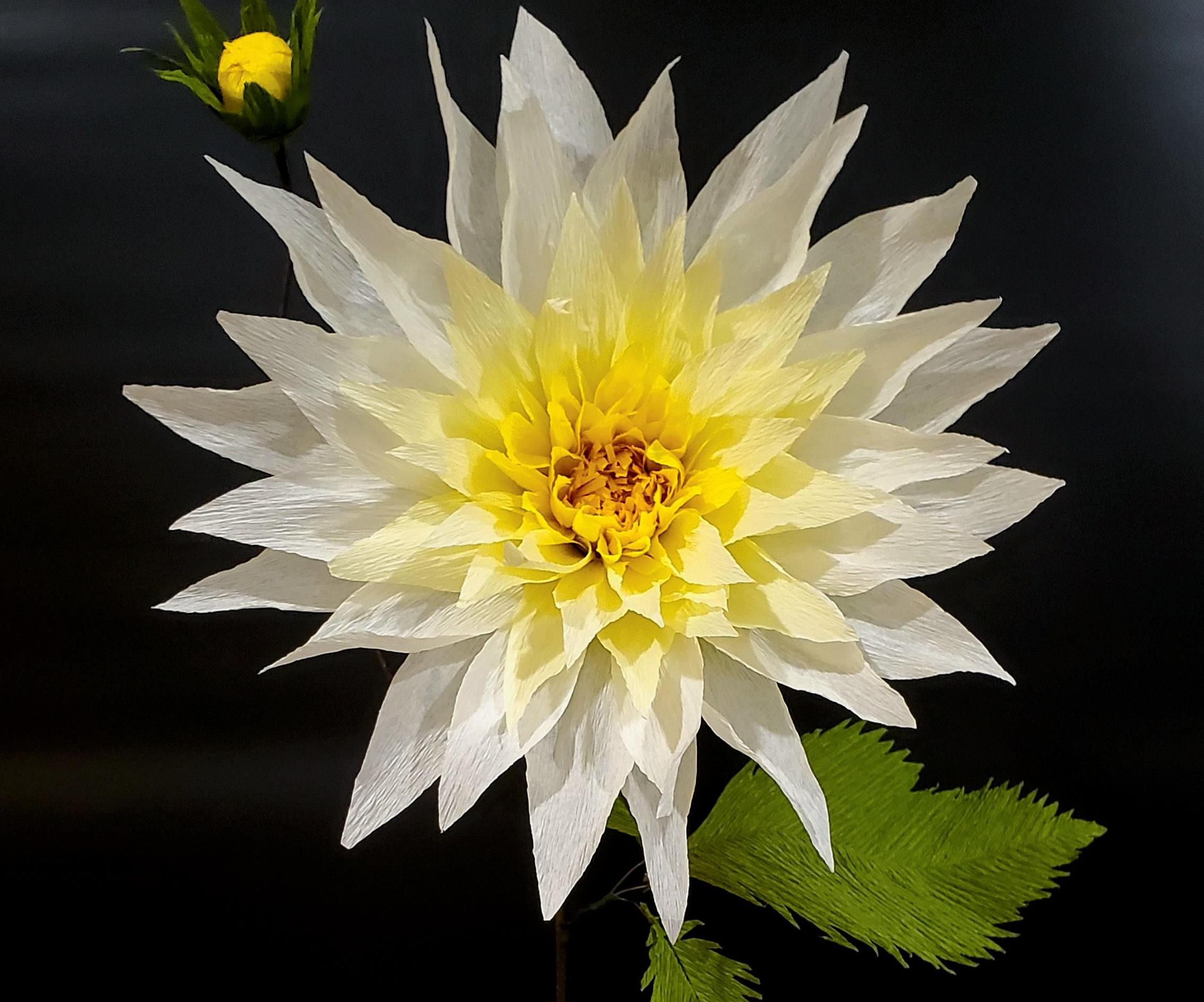 Crepe Paper Dahlia