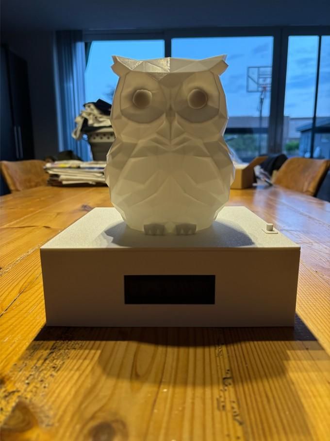 Smart Sleeping Owl (MCT)