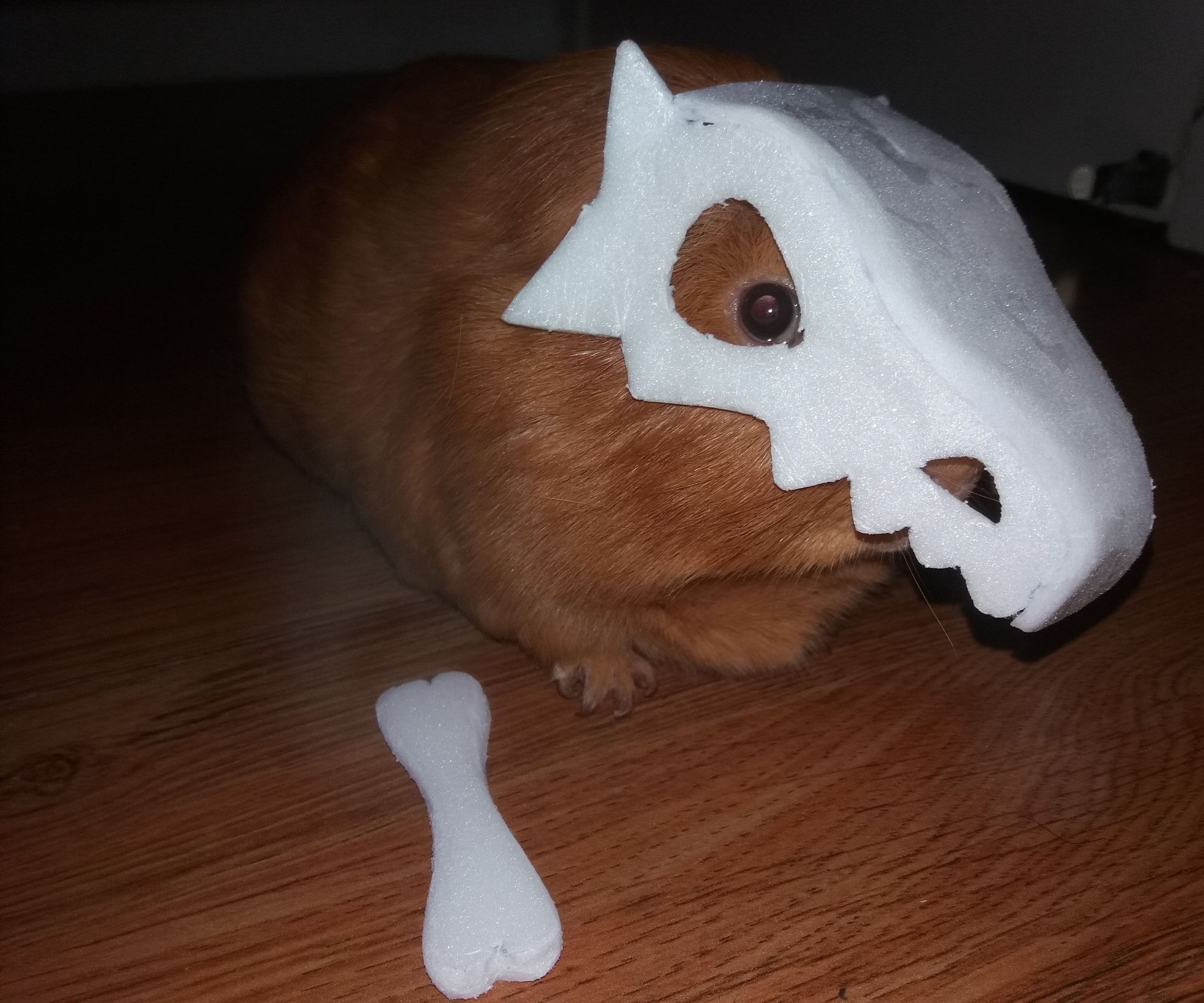 "Cui"bone