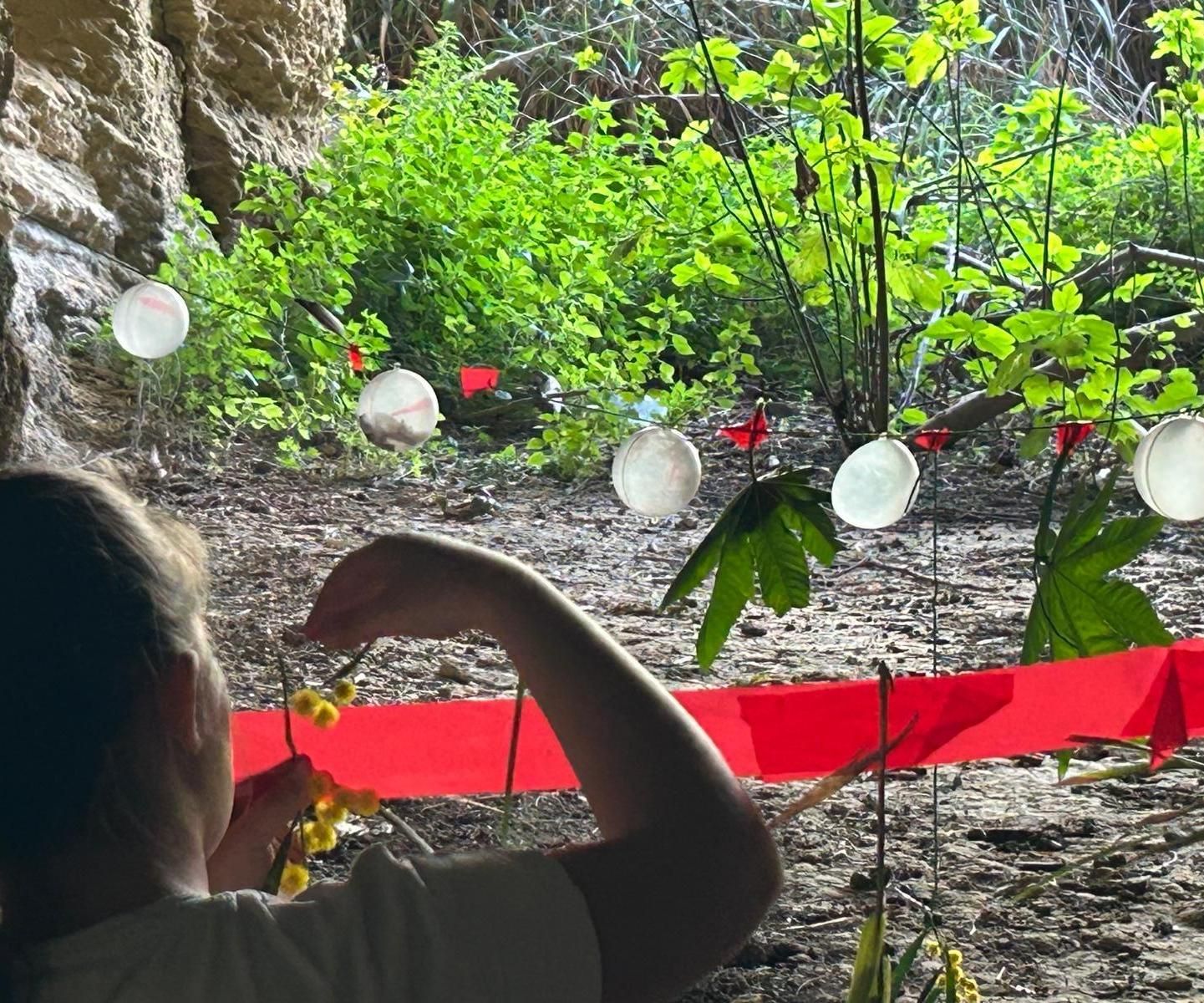 Storytelling Con Octostudio