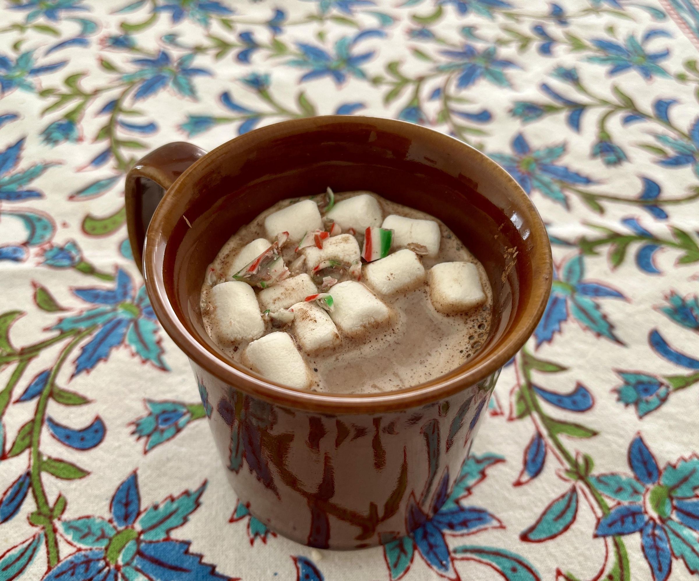 Homemade Peppermint Cinnamon Cocoa Mix
