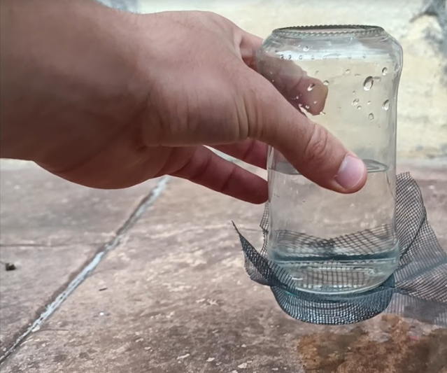 El Agua Que No Cae