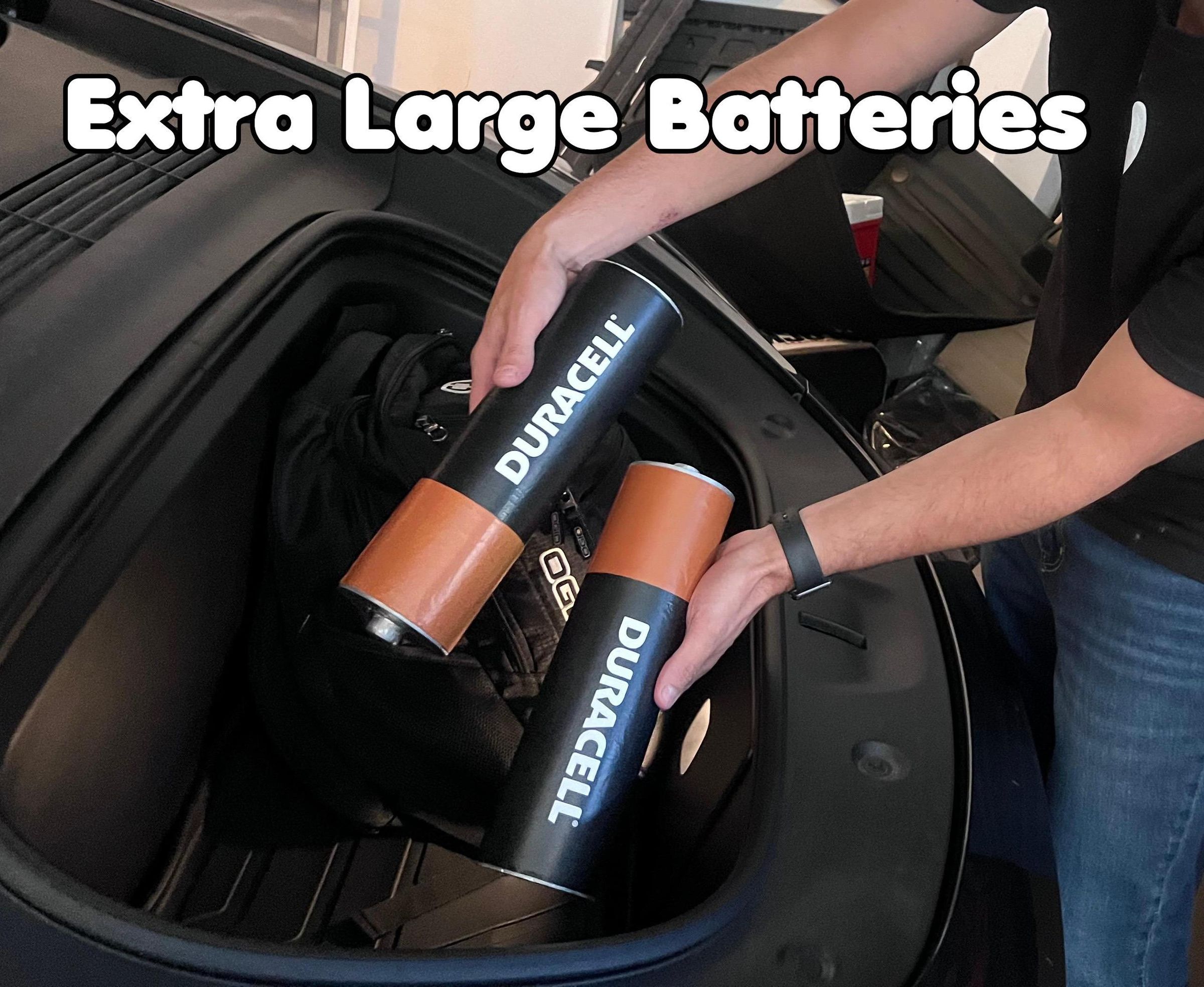 Extra Large Fake Batteries