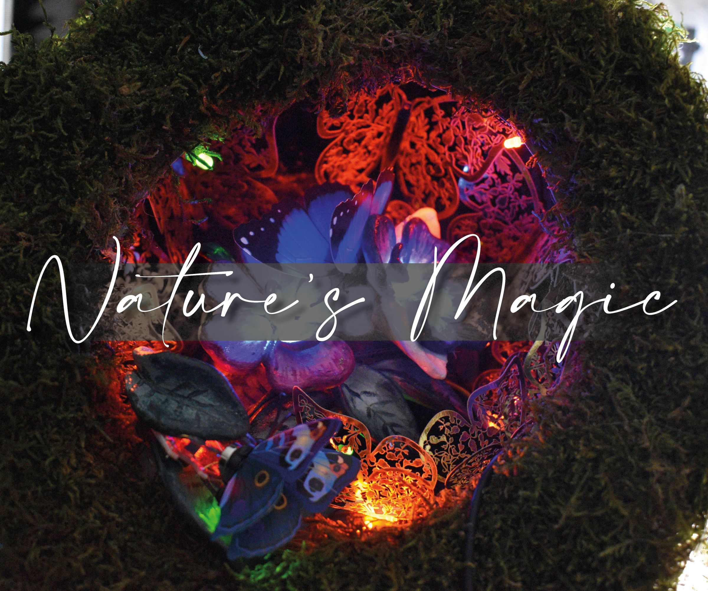 Nature's Magic (in a Pot)