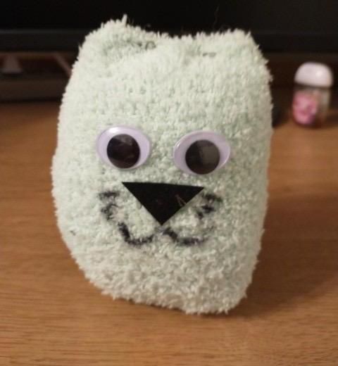 The Cat-Sock, the Perfect Fluffy Friend