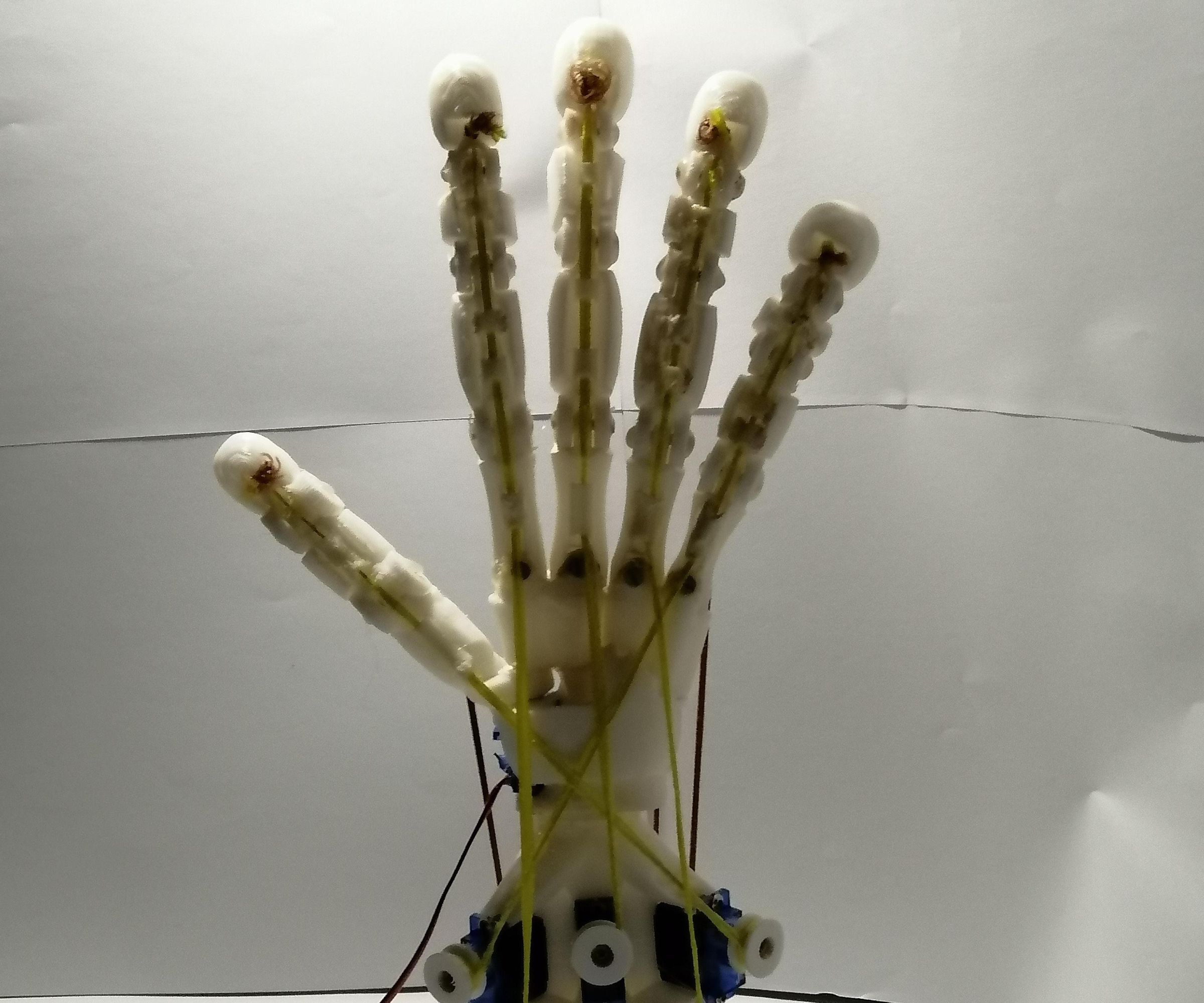 YAD Robotic Hand