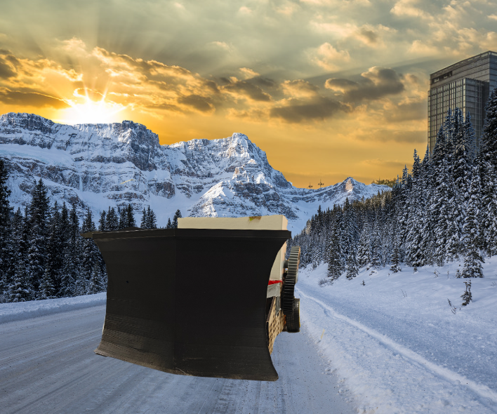 Snowplow Model - DEI 20