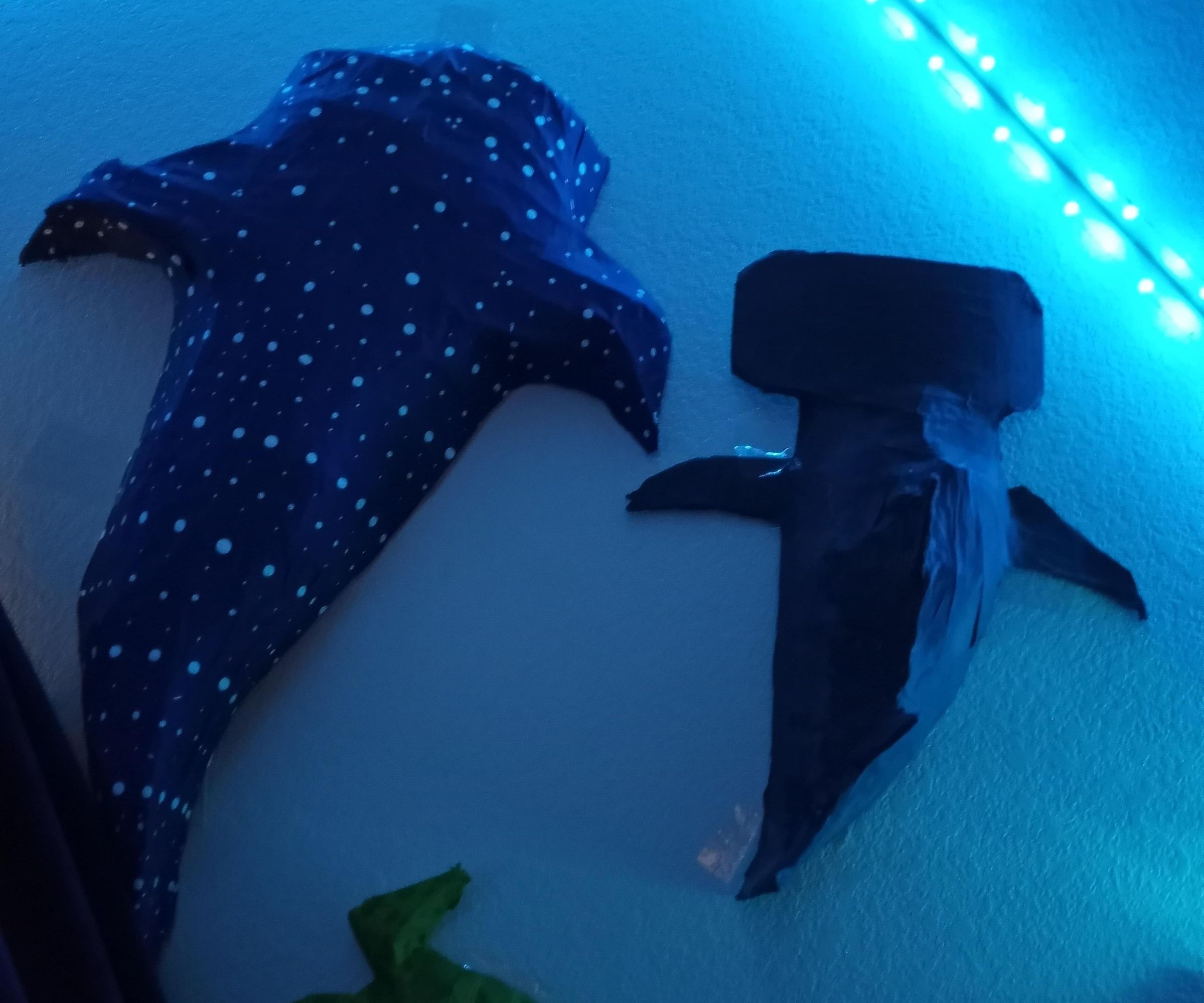 Large Whale Shark Made of Cardboard