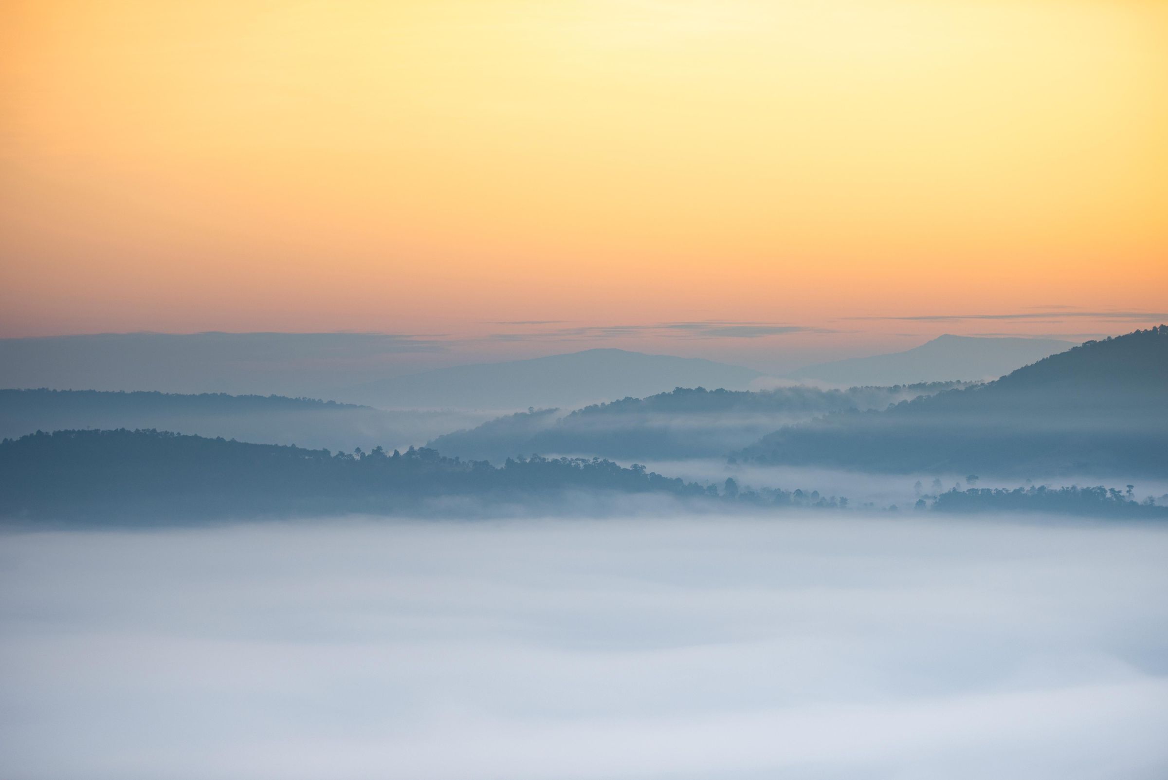 foggy-landscape-forest-in-the-morning-beautiful-sunrise-mist-cover-mountain-background-at-countryside-winter-free-photo.jpg
