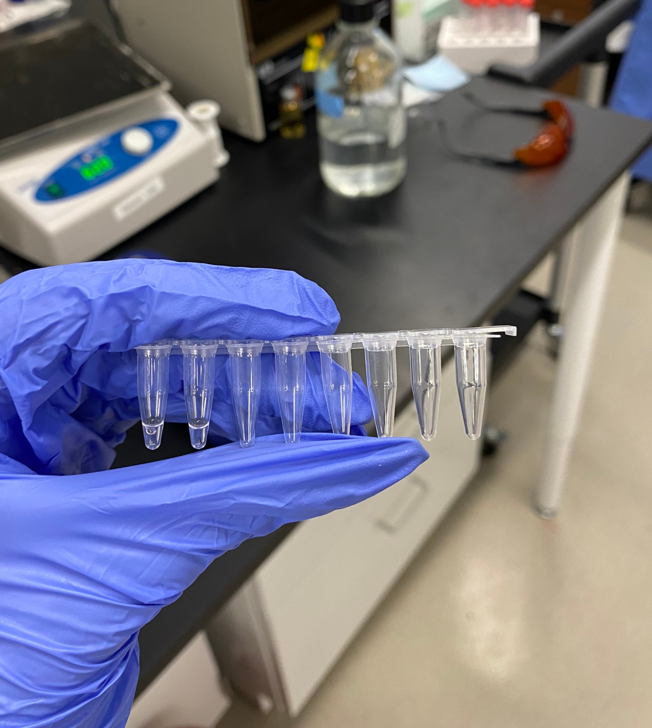 Mastering Molecular Cloning: a Guide to Polymerase Chain Reaction (PCR) Protocol
