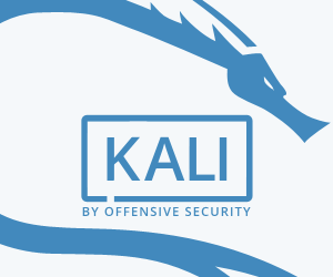 Kali Linux Beginner's Tutorial