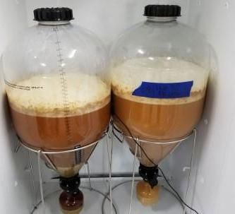 Low Cost Beer Fermenter