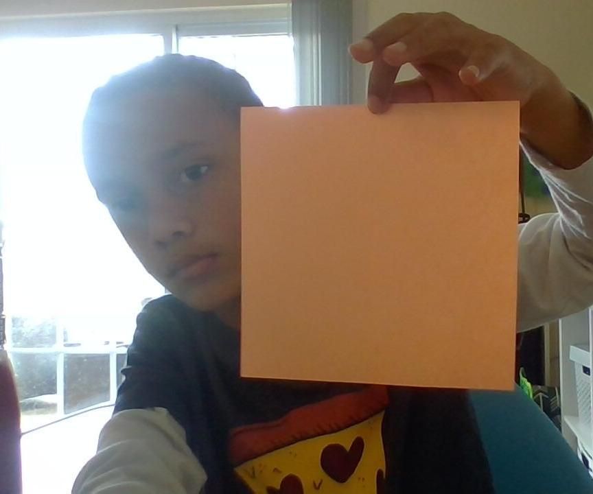 How to Make a Fox