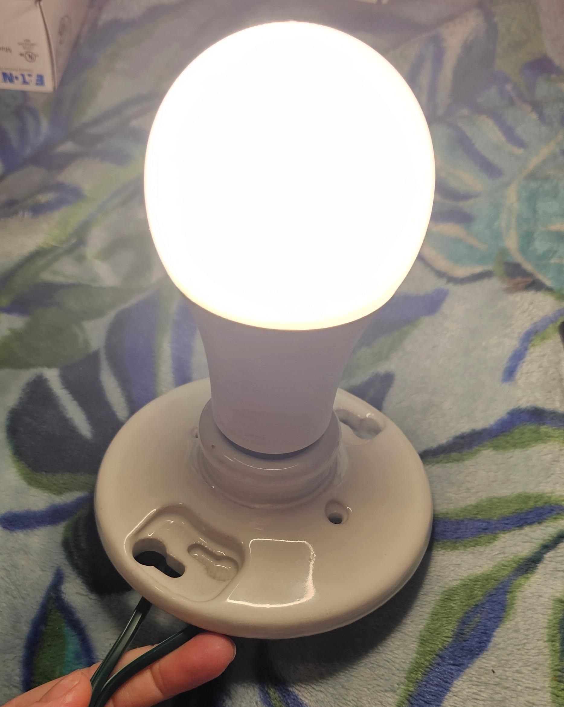 Wire a Light Socket for Your Reptiles (Easy!)