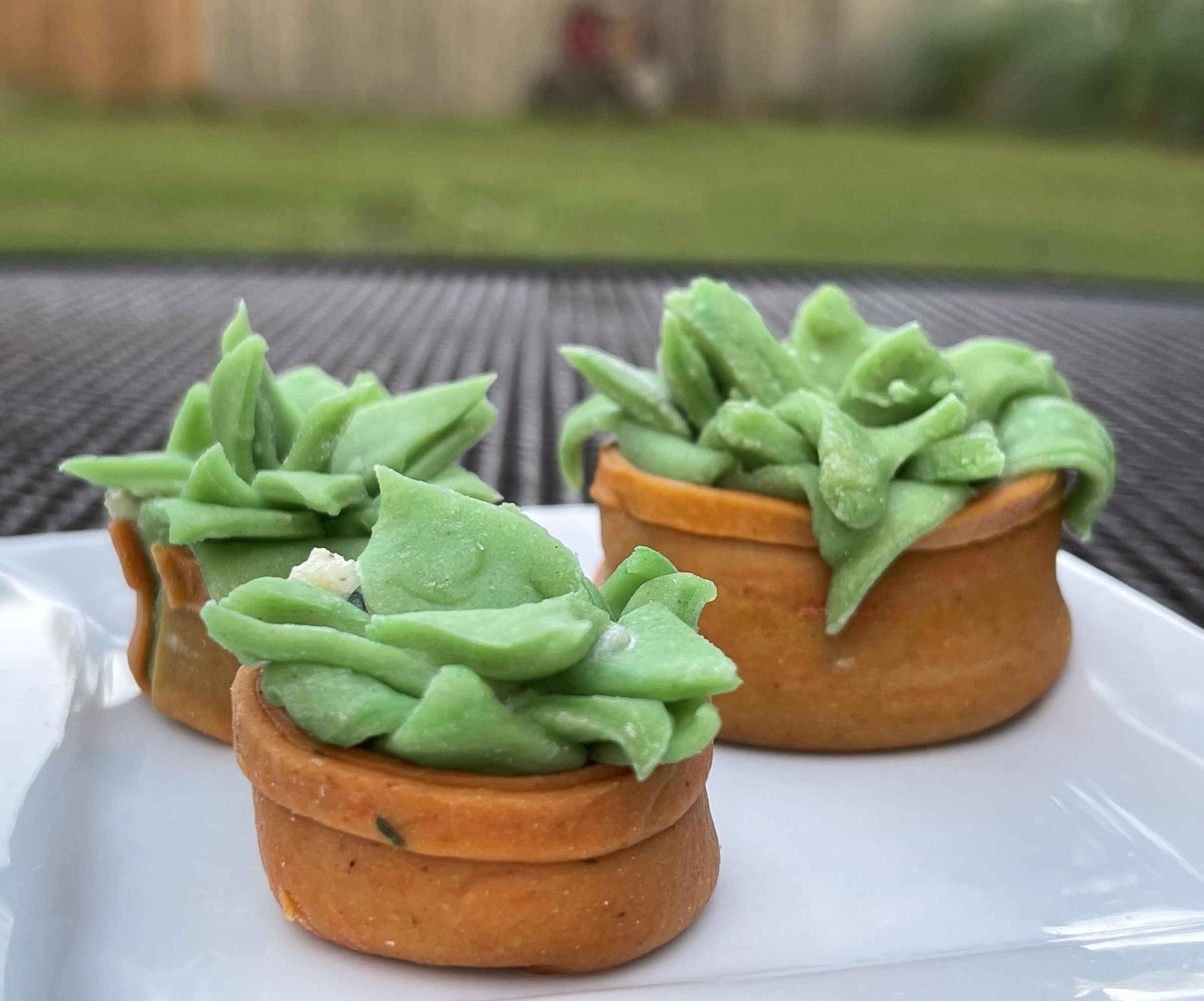 Succulent Ravioli 