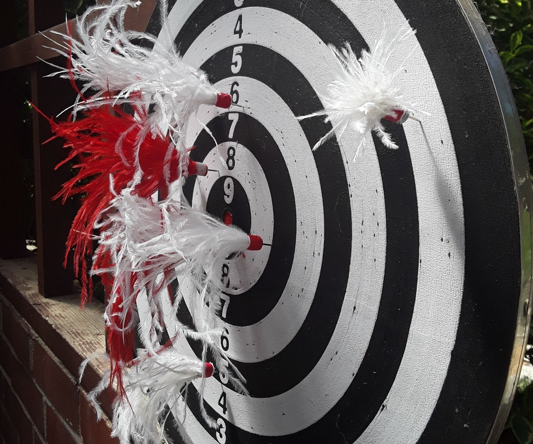 Mini Feather Darts